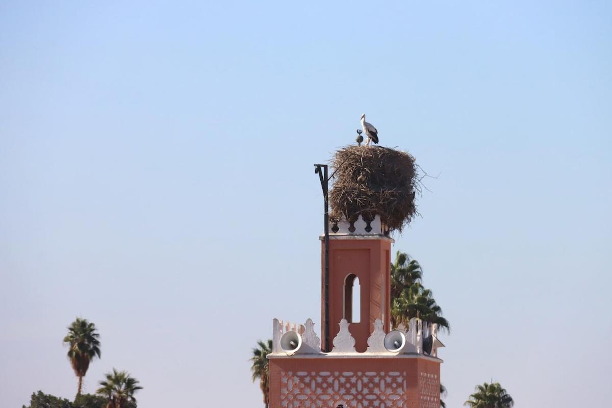 Souffle D 'orient, Easy Access To Medina & Basin Villa