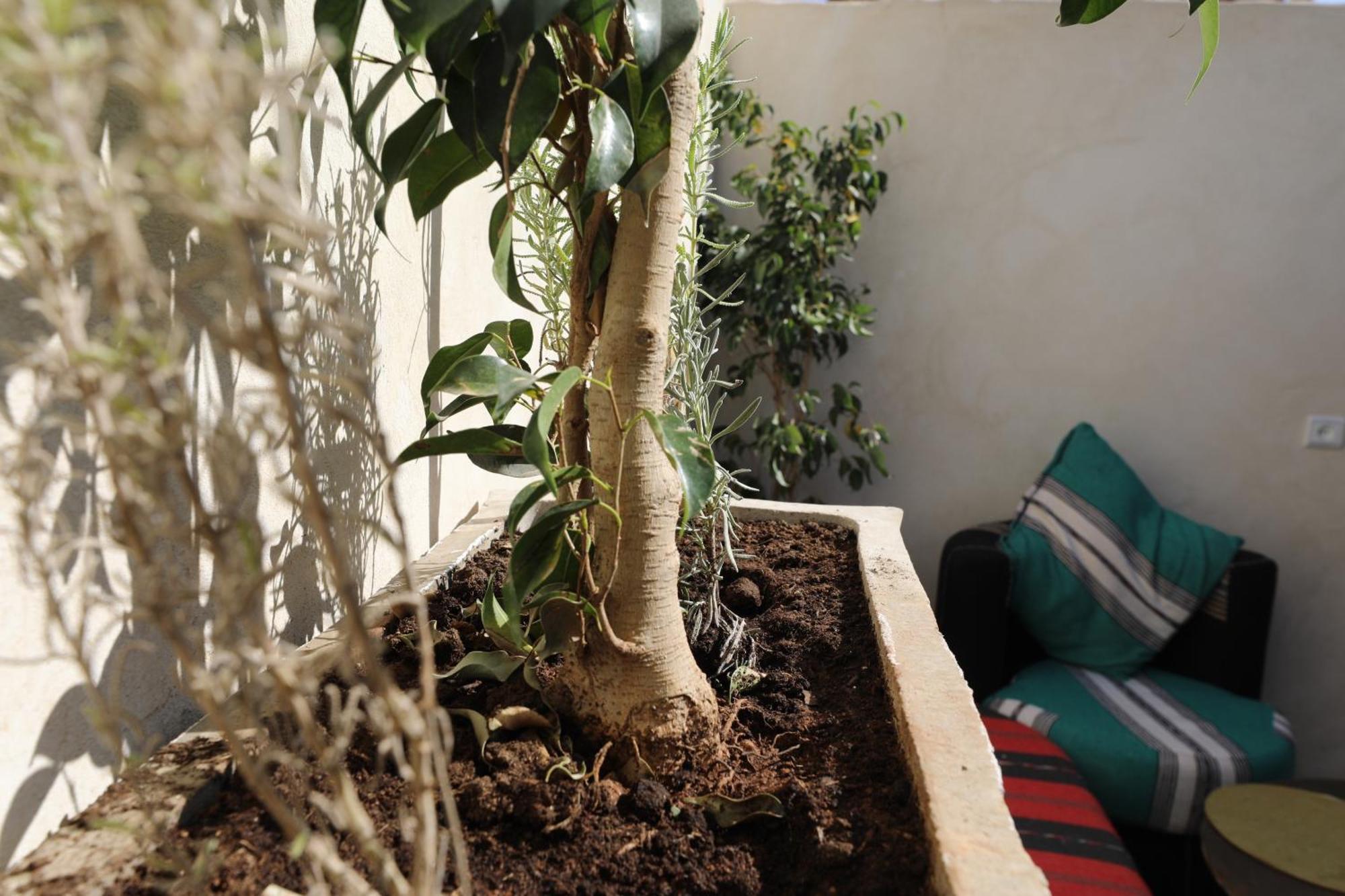 Marrakech Appartement Marrakesh