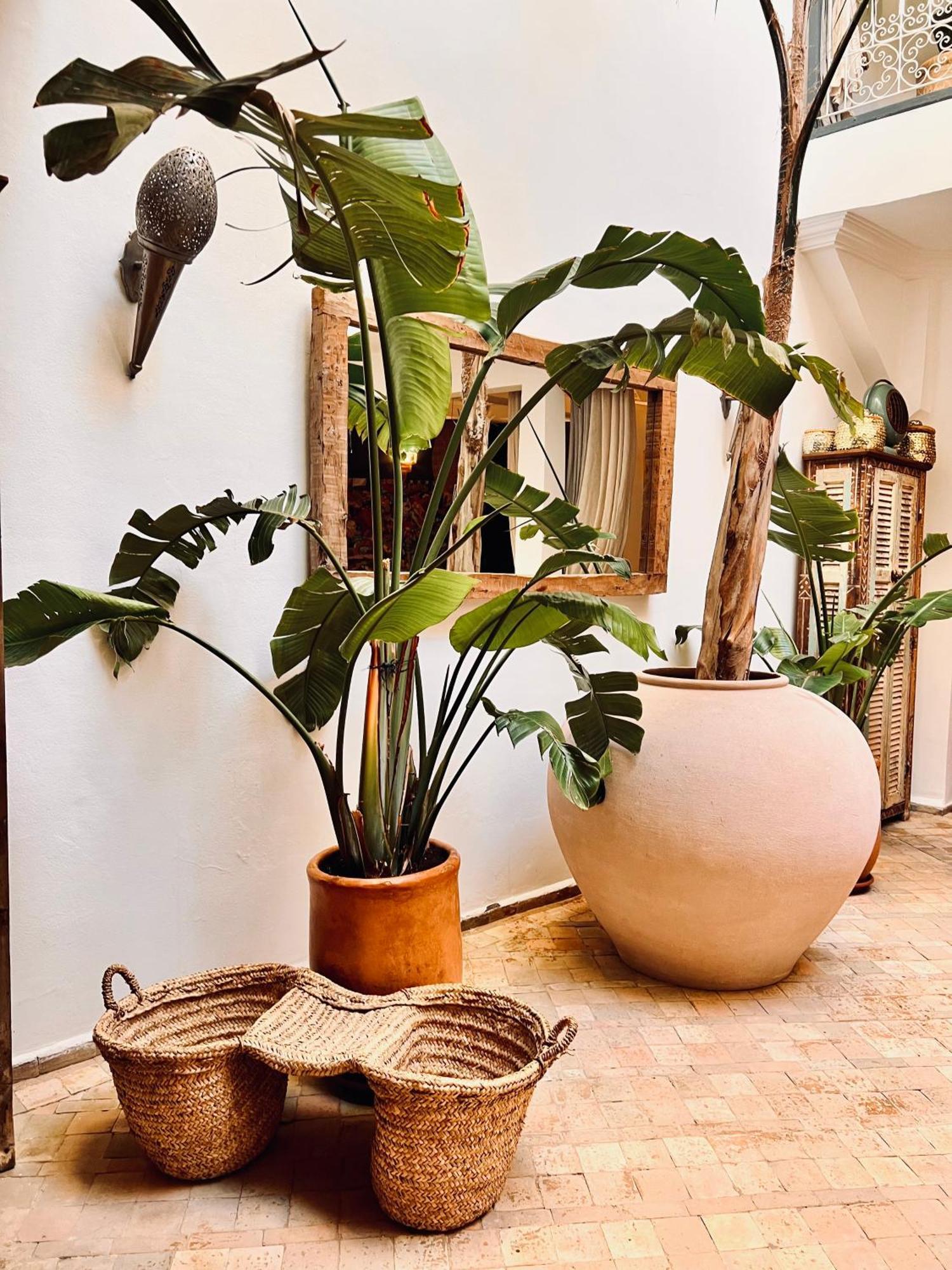 Riad Instant T Marrakesh