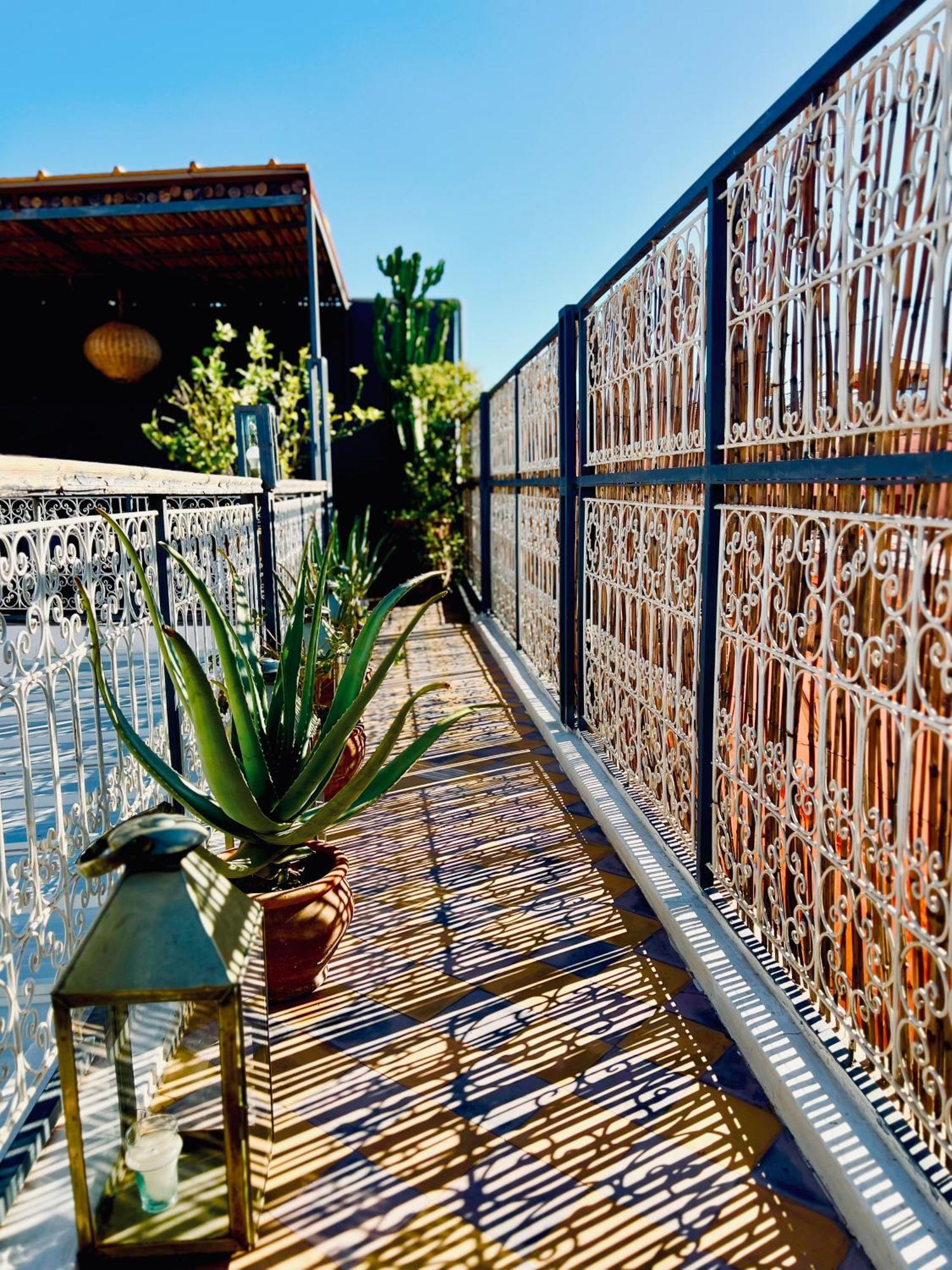 Instant T * Marrakesh
