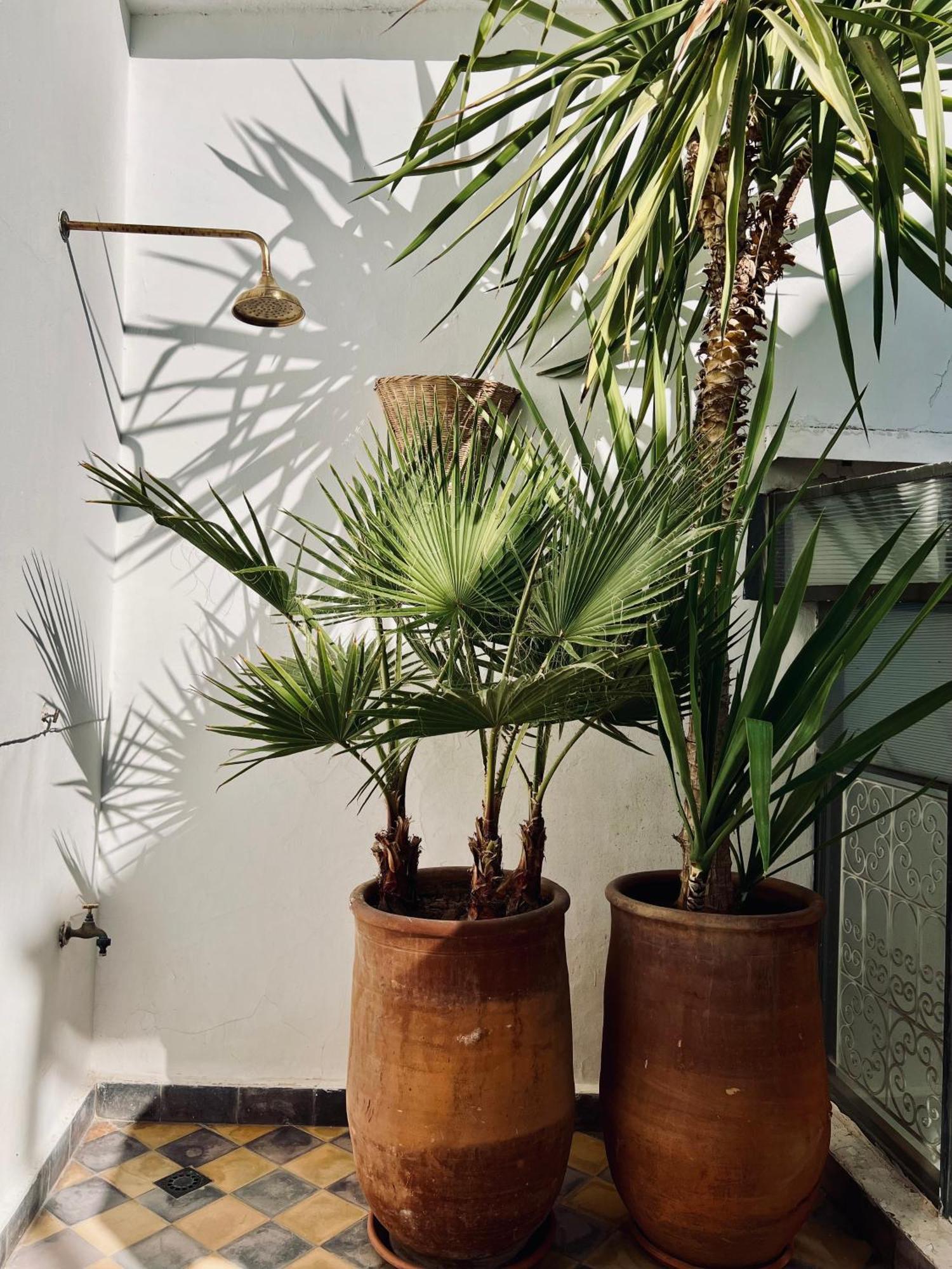 Instant T Riad Marrakesh
