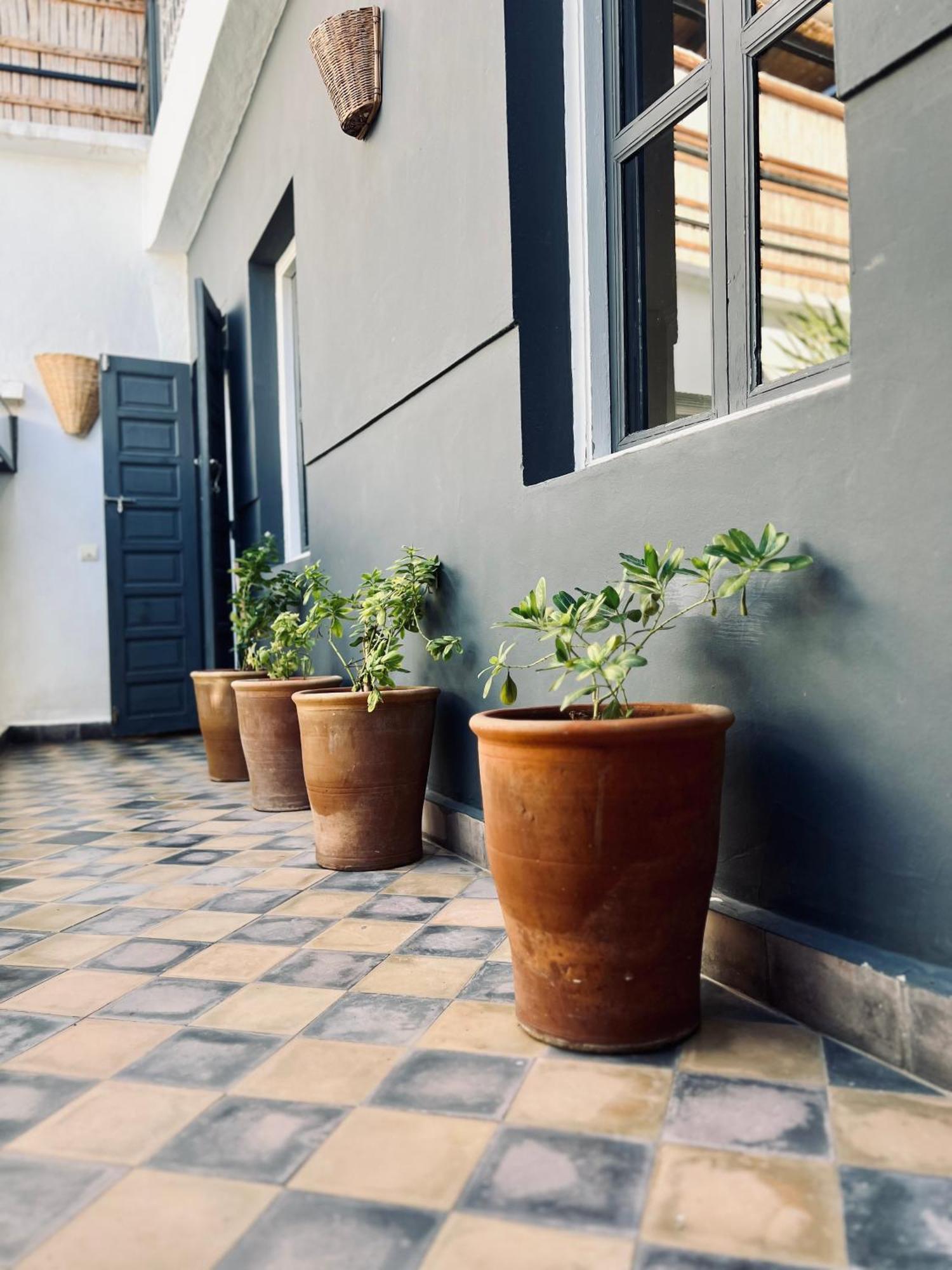 Instant T * Marrakesh