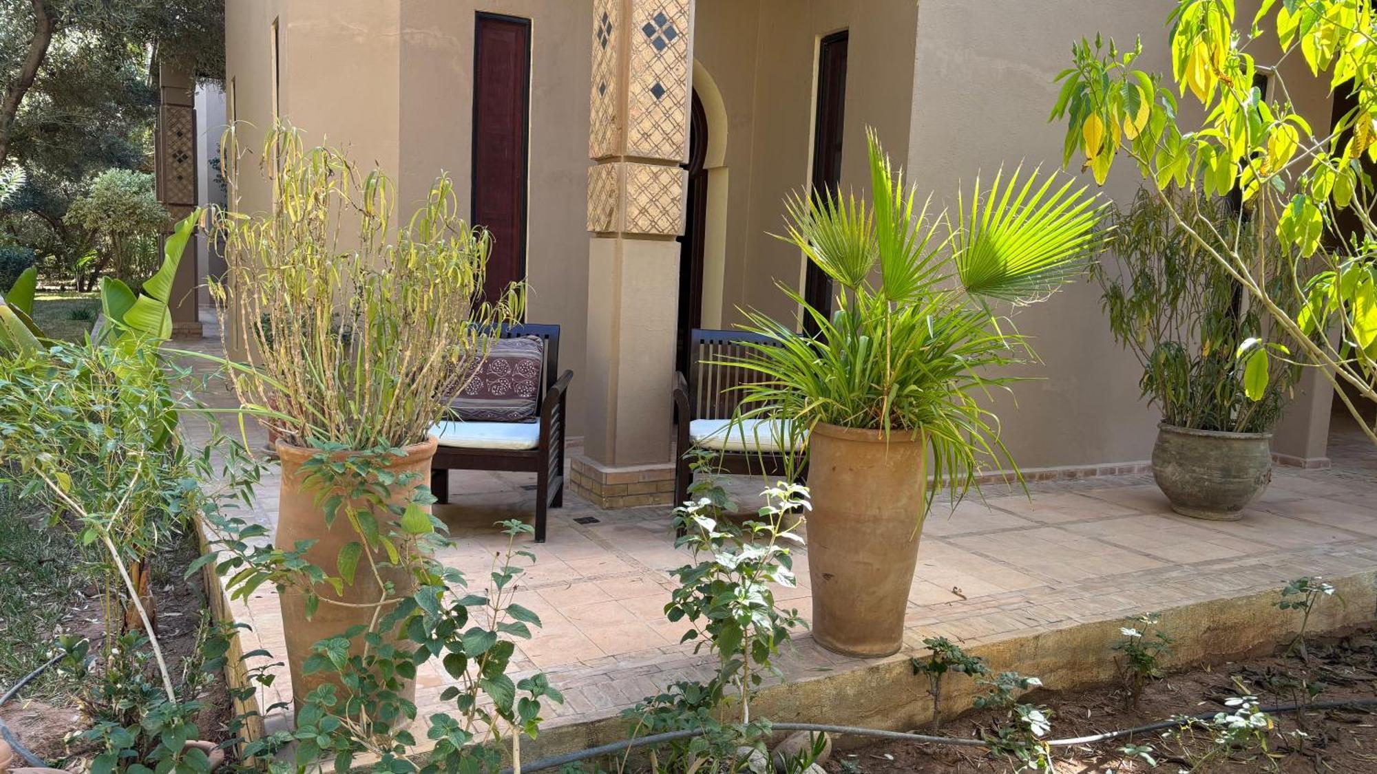 Dar Zeitoun By Palais Celoa Séjour chez l'habitant Marrakesh