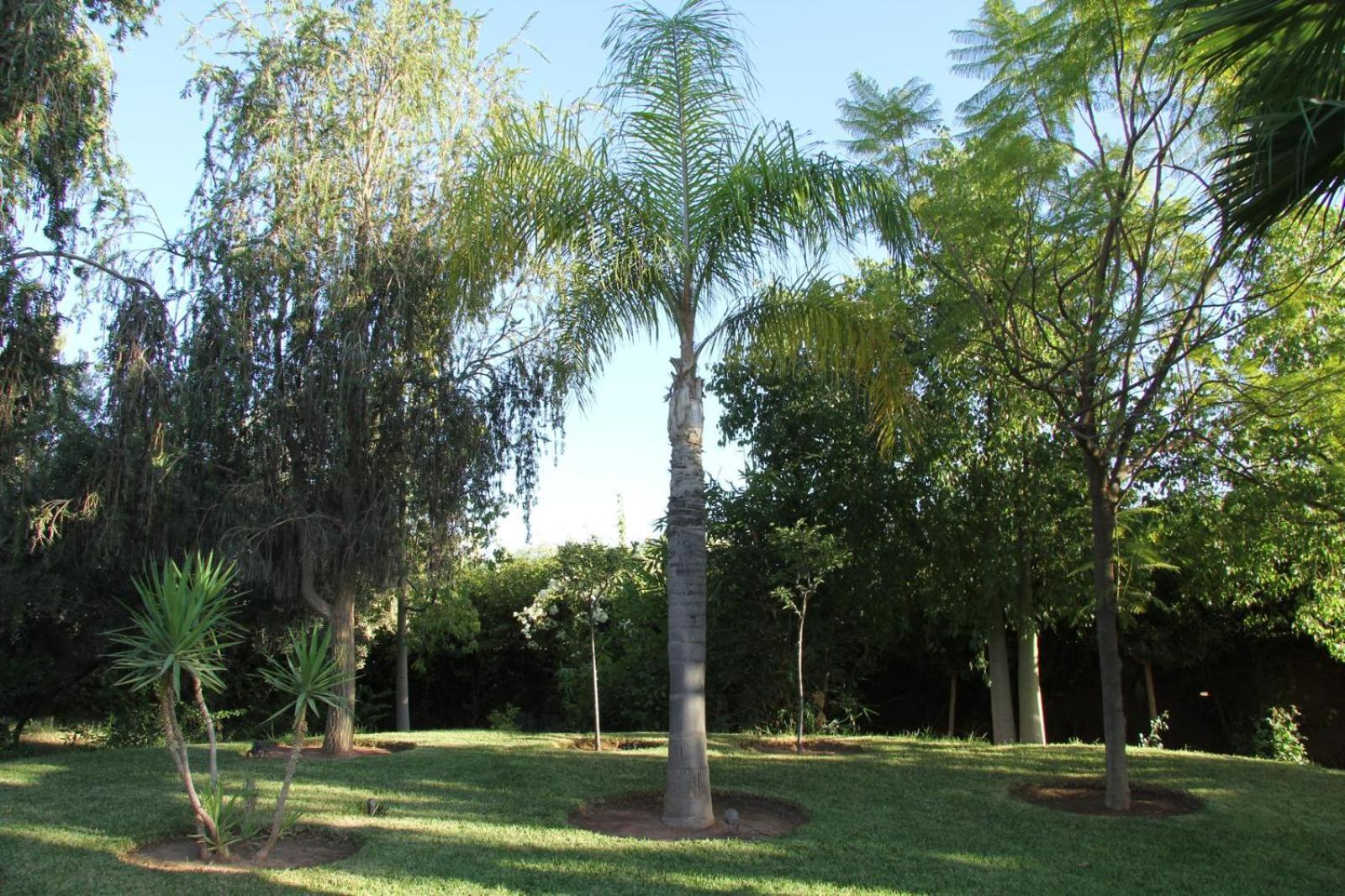 Séjour chez l'habitant Dar Zeitoun By Palais Celoa
