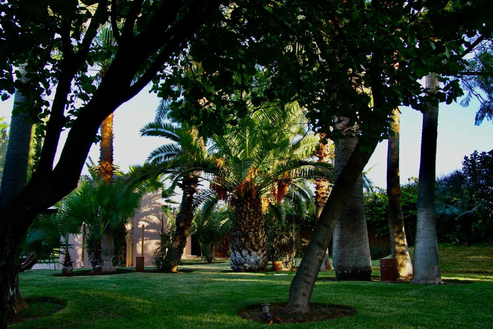 Dar Zeitoun By Palais Celoa