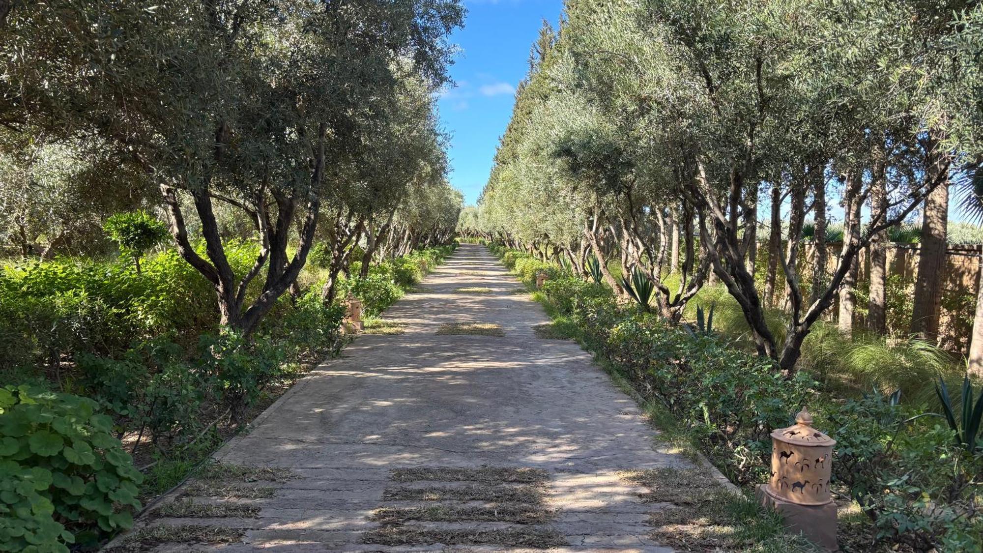 Dar Zeitoun By Palais Celoa Homestay