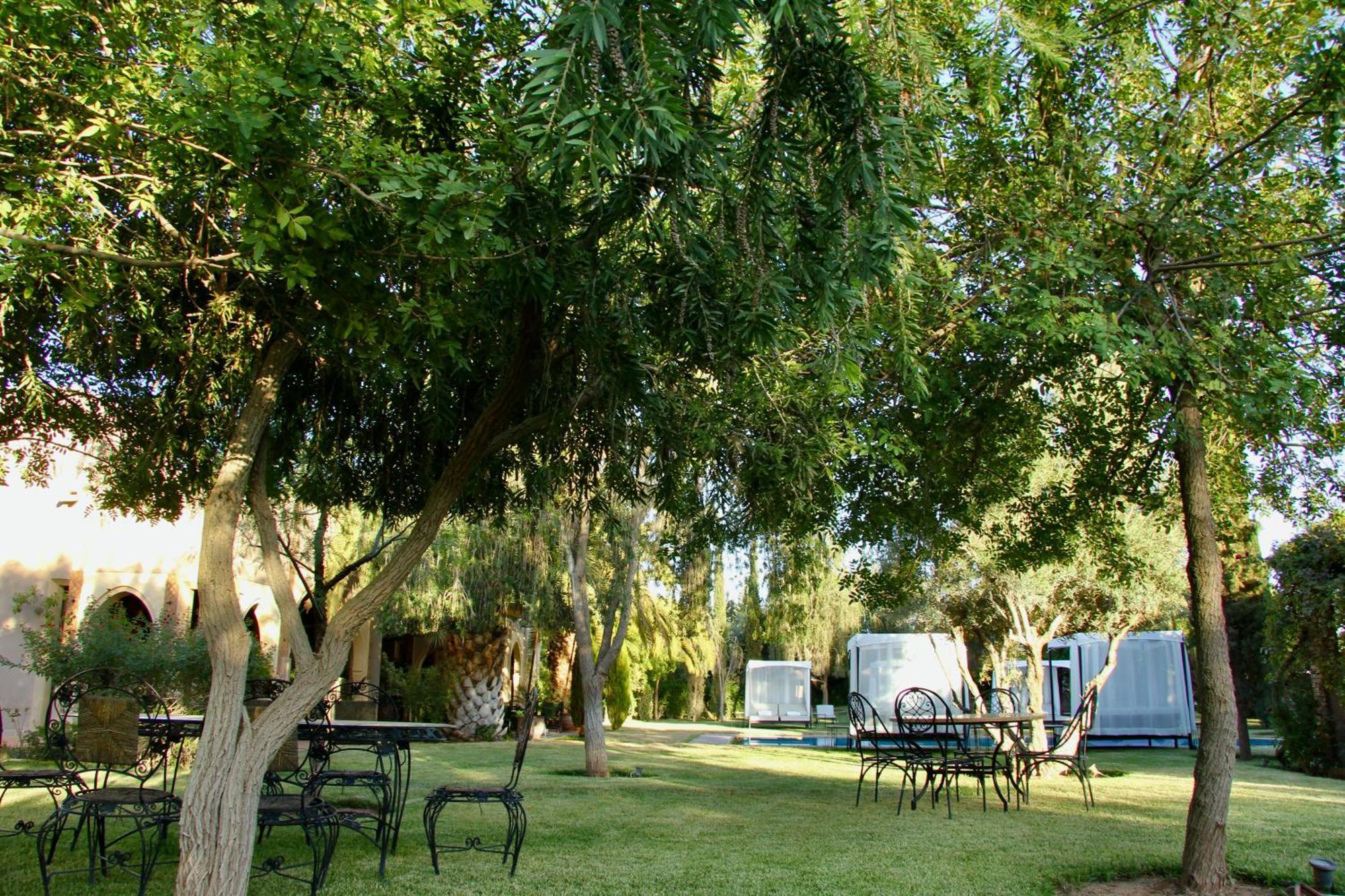 Séjour chez l'habitant Dar Zeitoun By Palais Celoa *