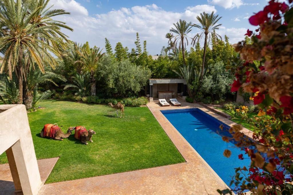 Sahar Palmeraie Avec Piscine Chauffee ! Villa