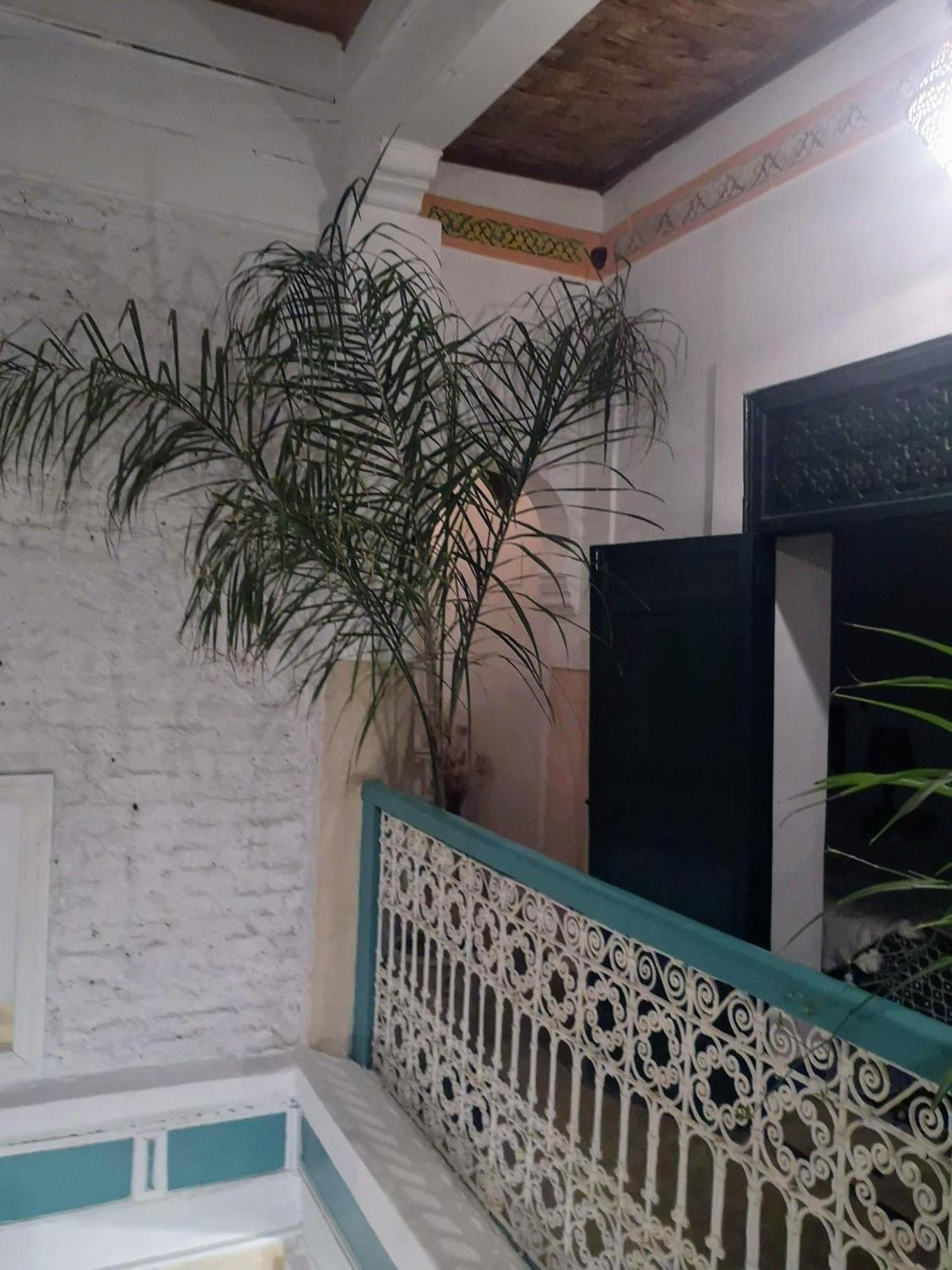 El Badii Twin Bahia *