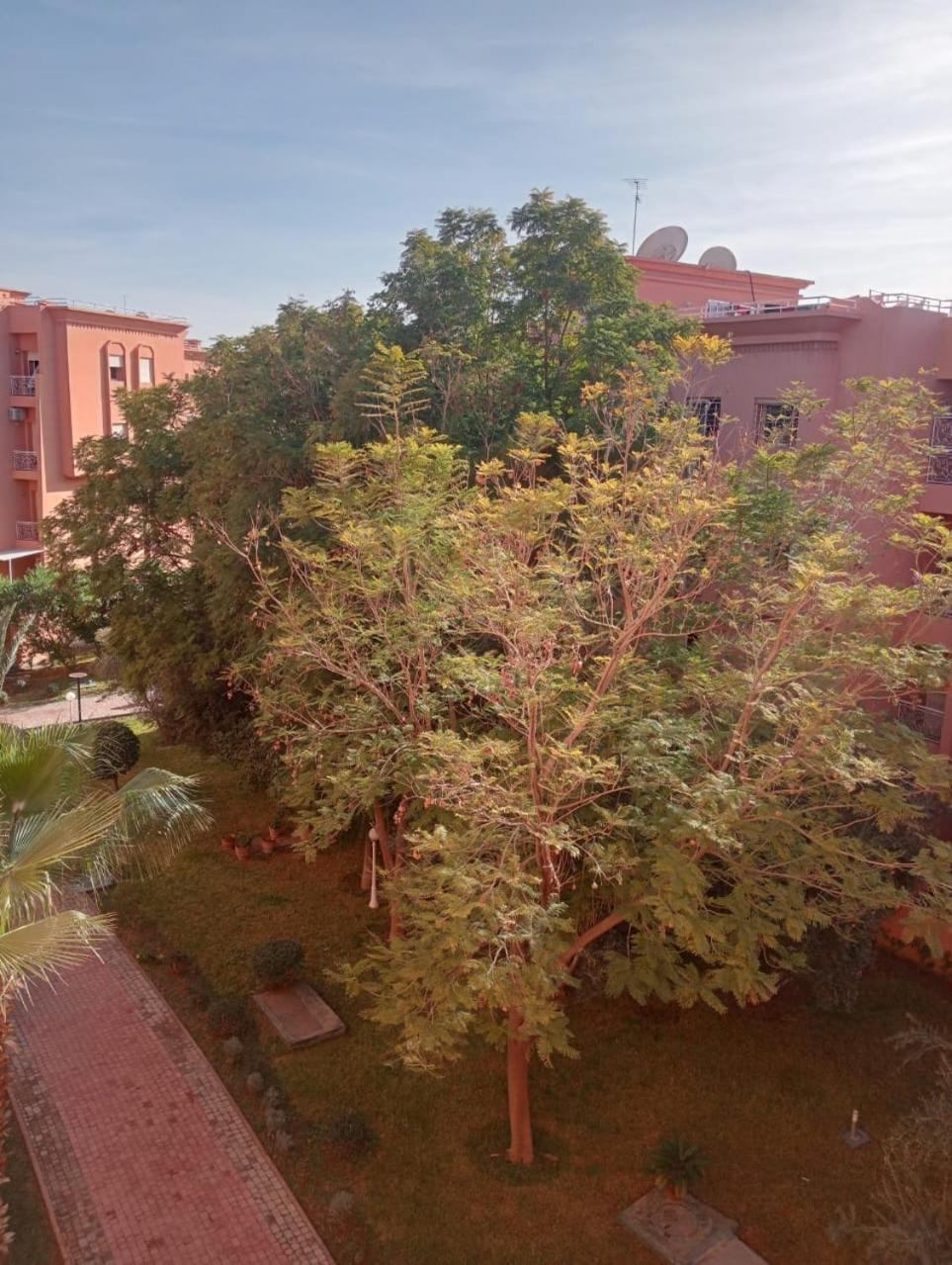 Majorelle 2 - Spacieux 2 & Piscine