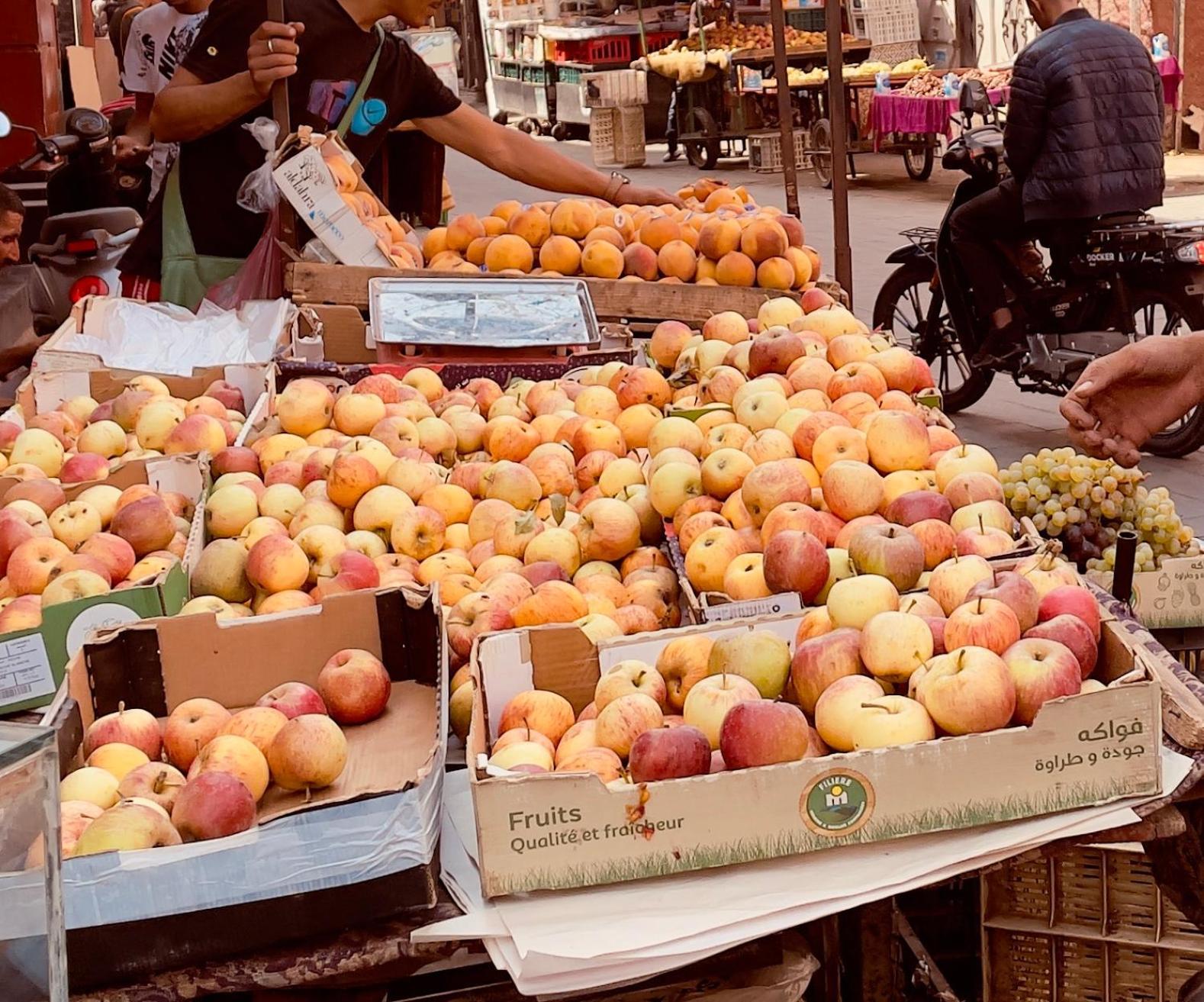 Marrakech Express Sidi Yousssef Ben Ali Marrakesh