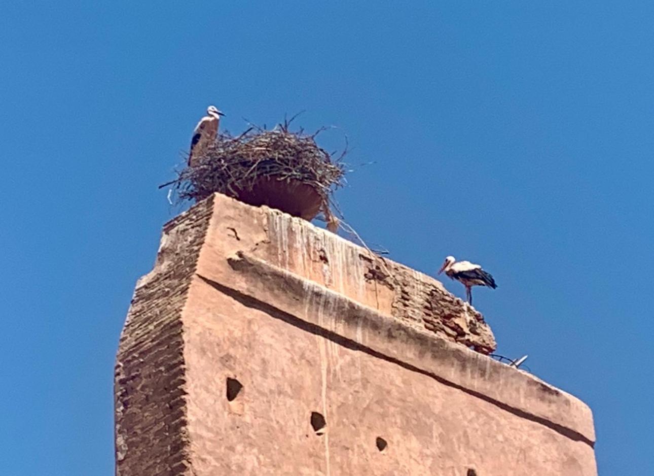 Hébergement de vacances Dar Najwa Marrakesh