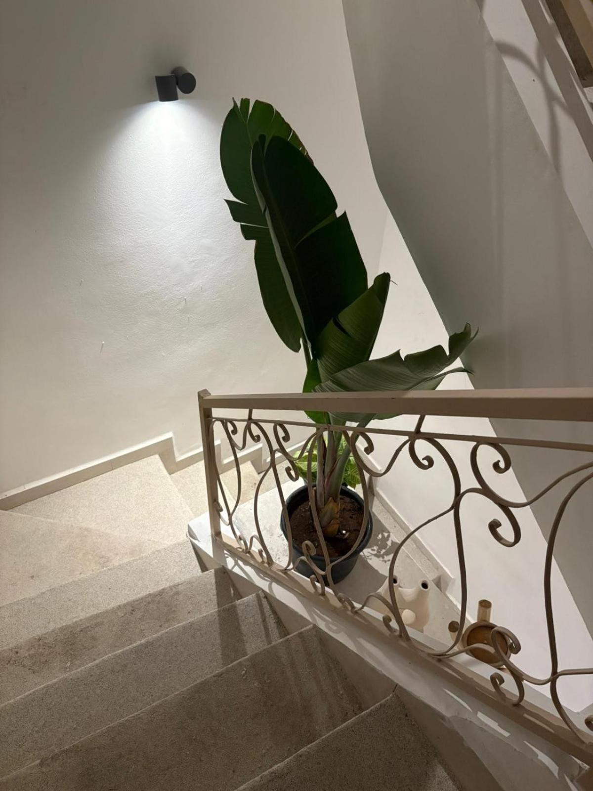 Maison 3 Avec Bassin Chauffee Centre Gueliz Appartement Marrakesh