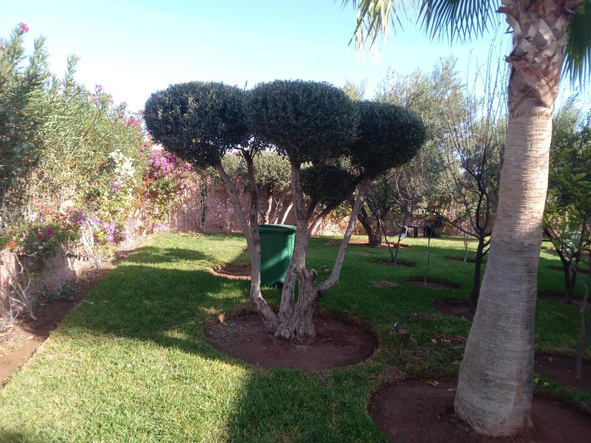 Des Iris Marrakesh