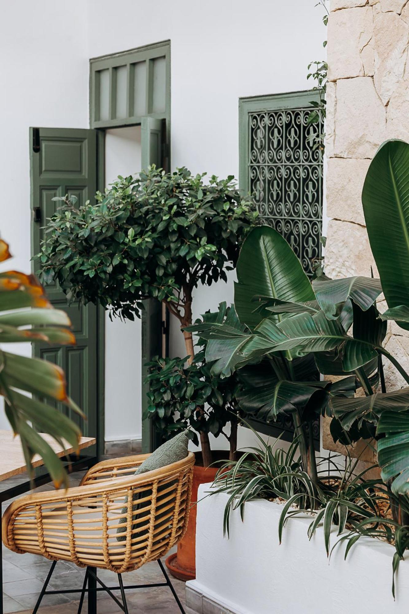 Riad Wengé&spa Marrakesh