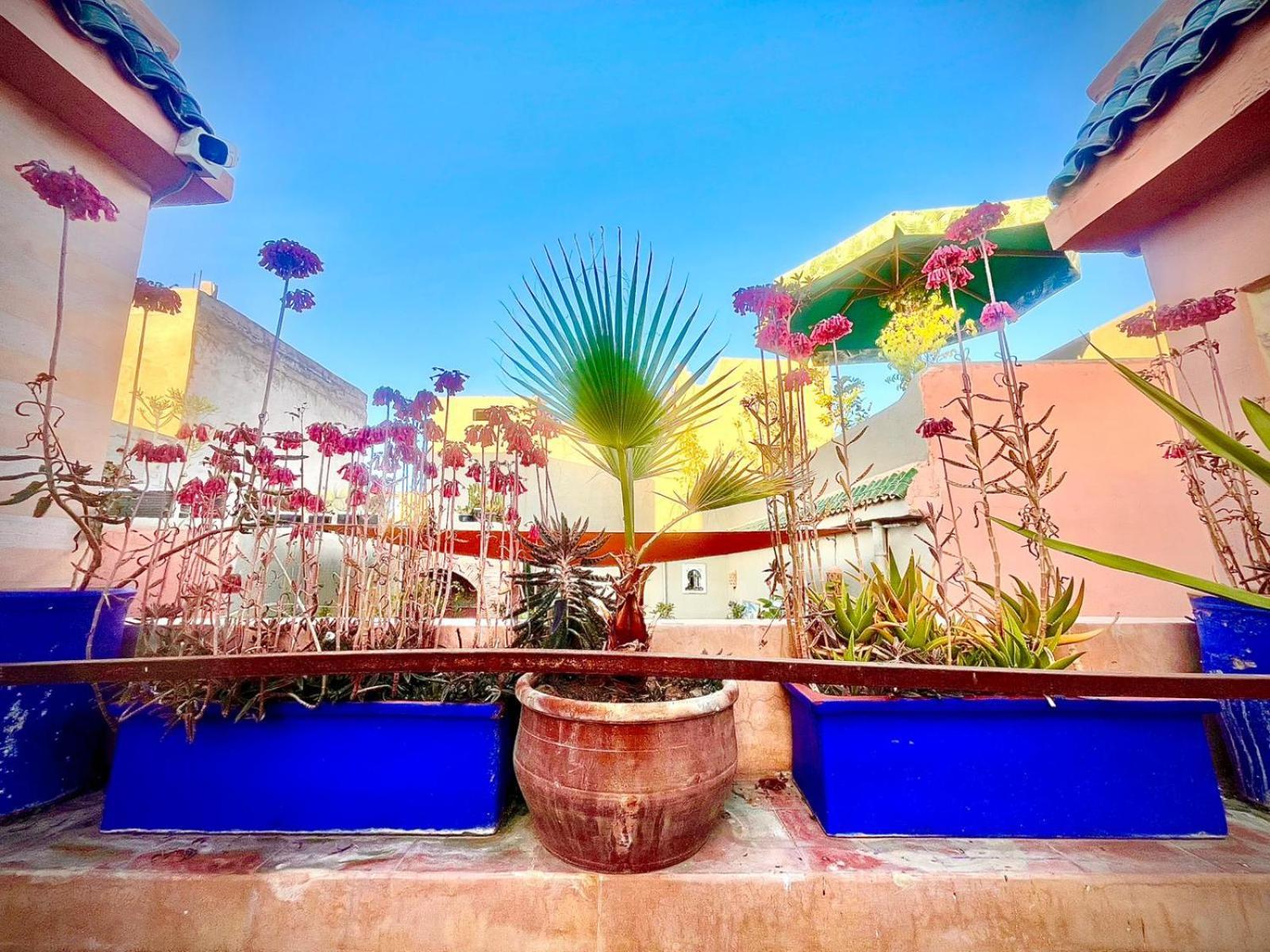 Bonheur Riad