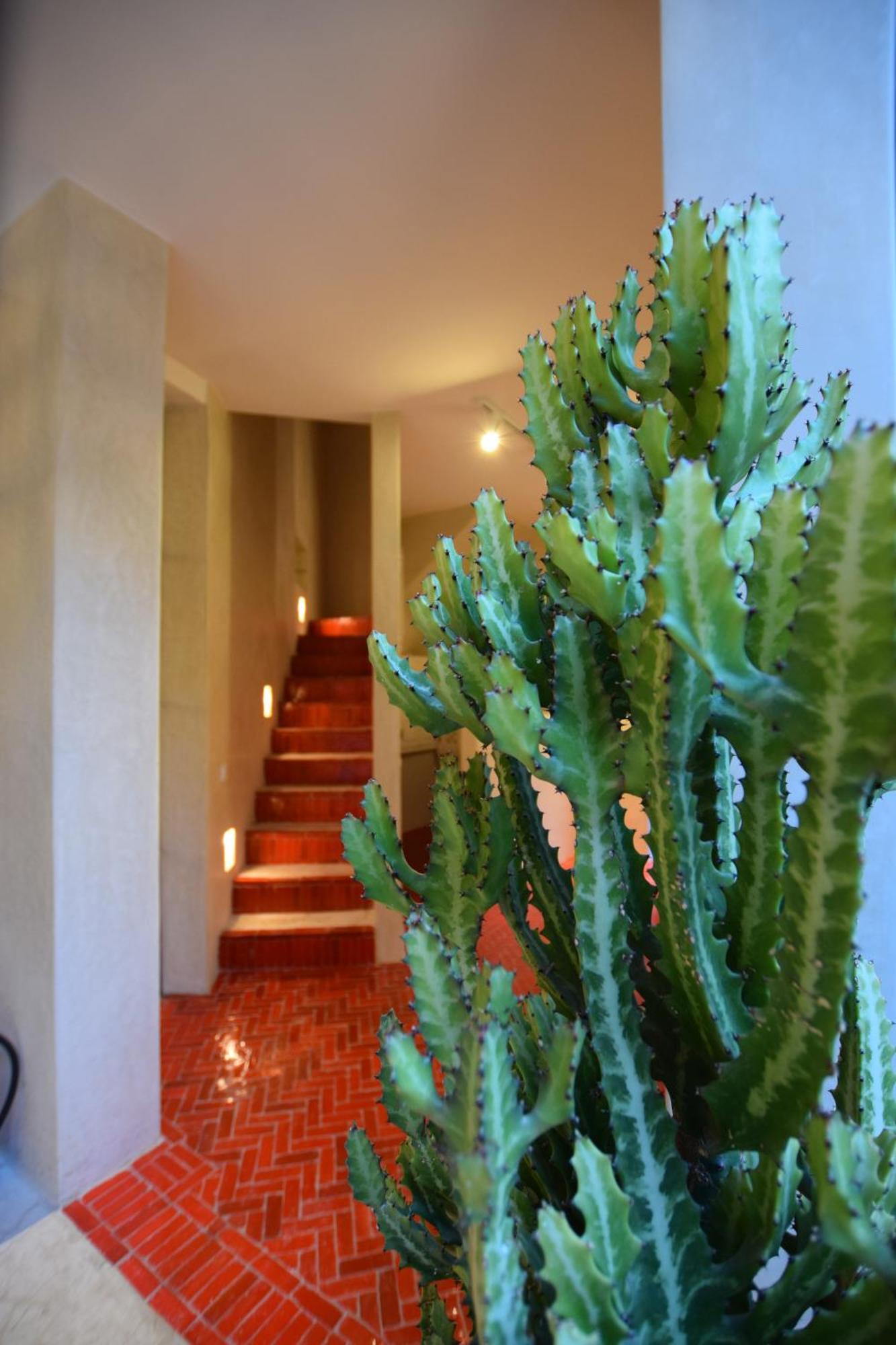 Miostello Lifestyle Marrakech Riad