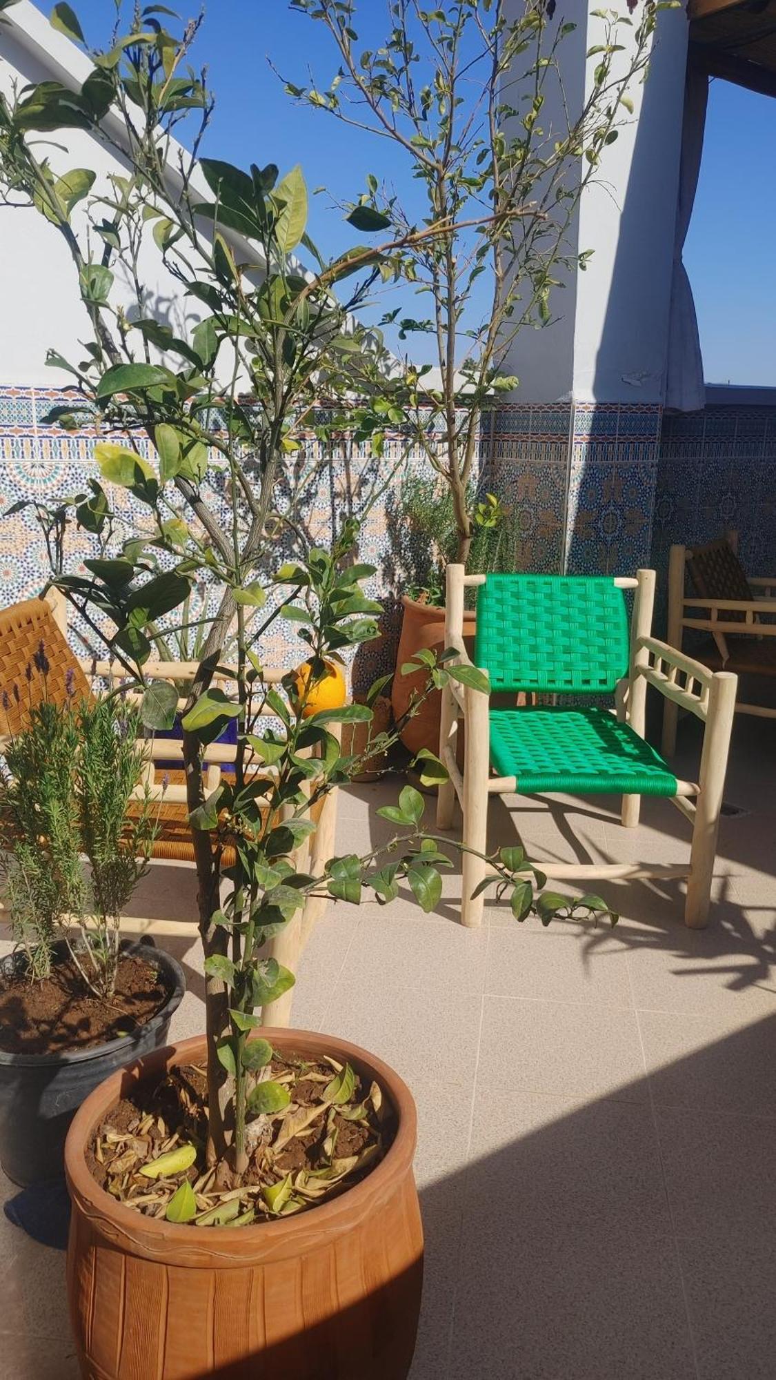 Vakantiehuis Dar Amane - Charmante Maison Marocaine