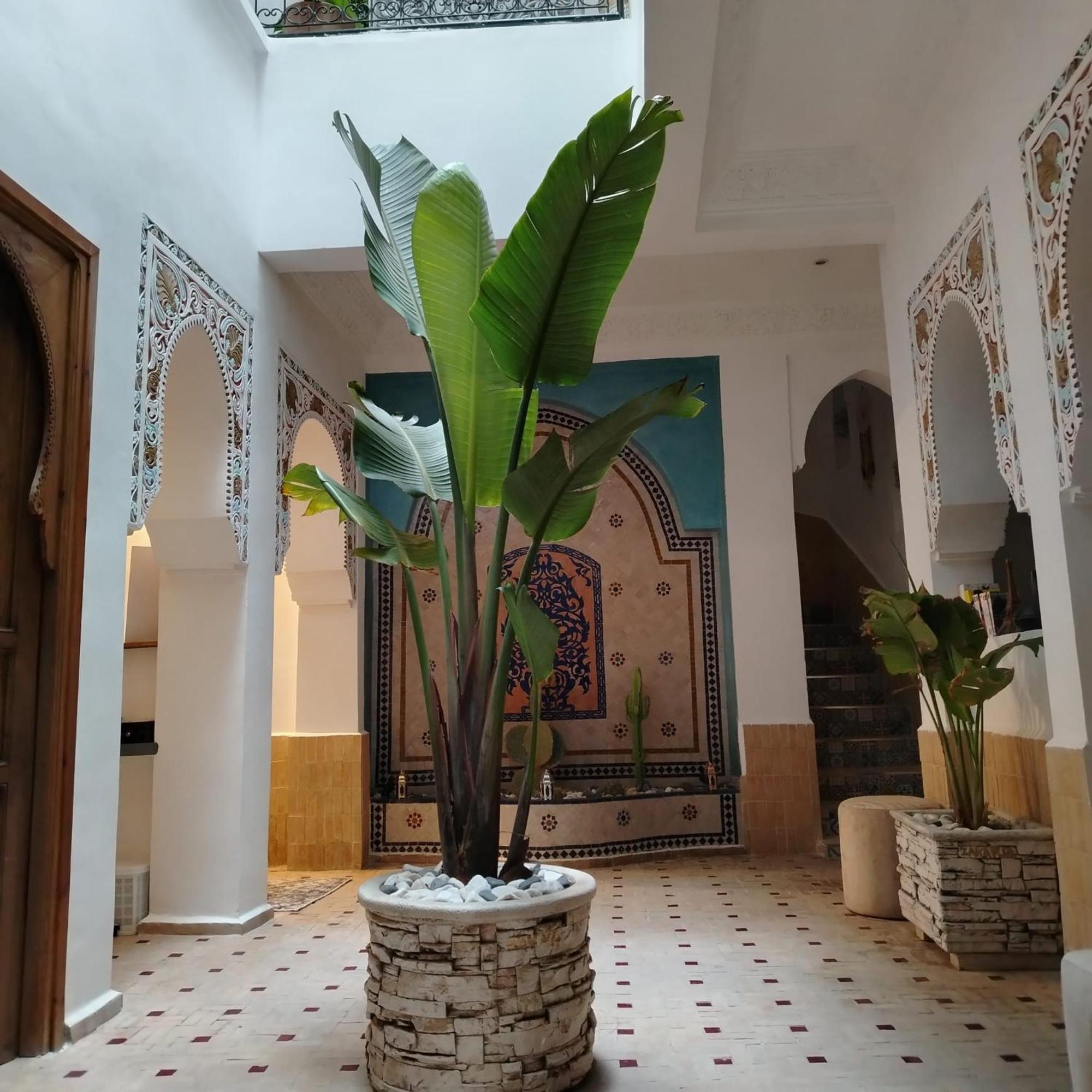 & Sous Le Soleil Chez Jerome Et Pamela Ch Marrakchi Marrakesch
