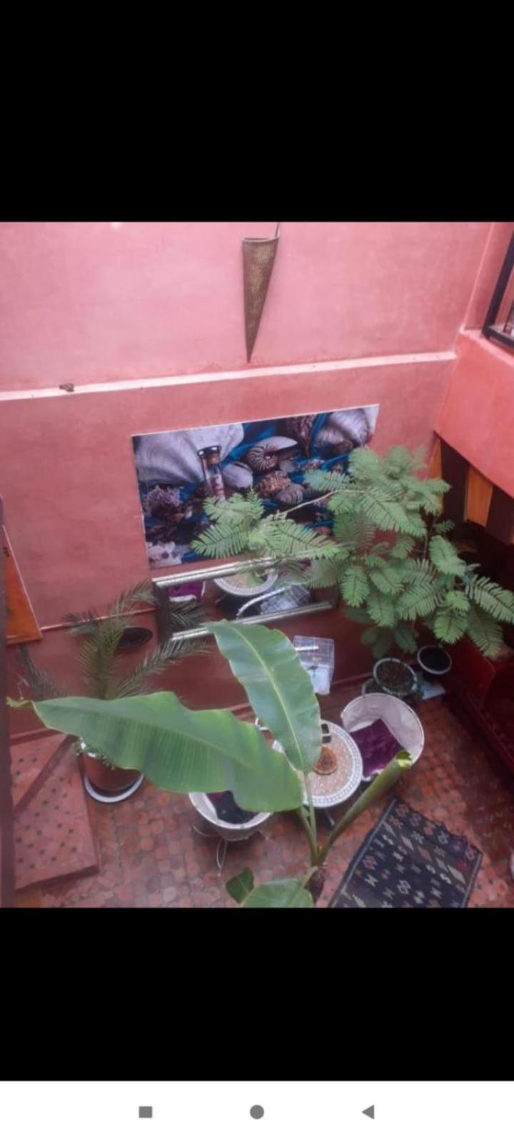 Hanafi Bed & Breakfast