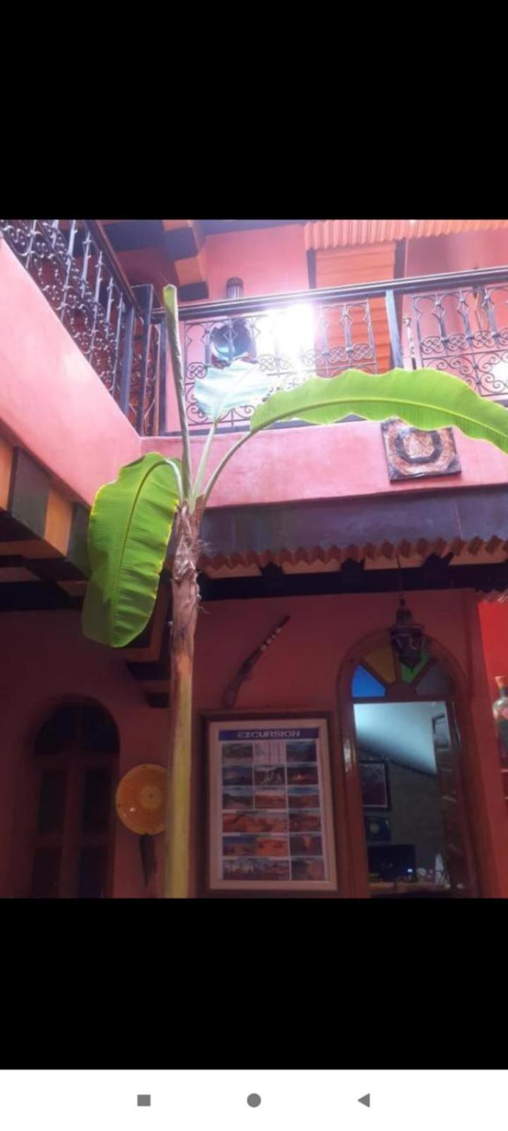 Hanafi Bed & Breakfast
