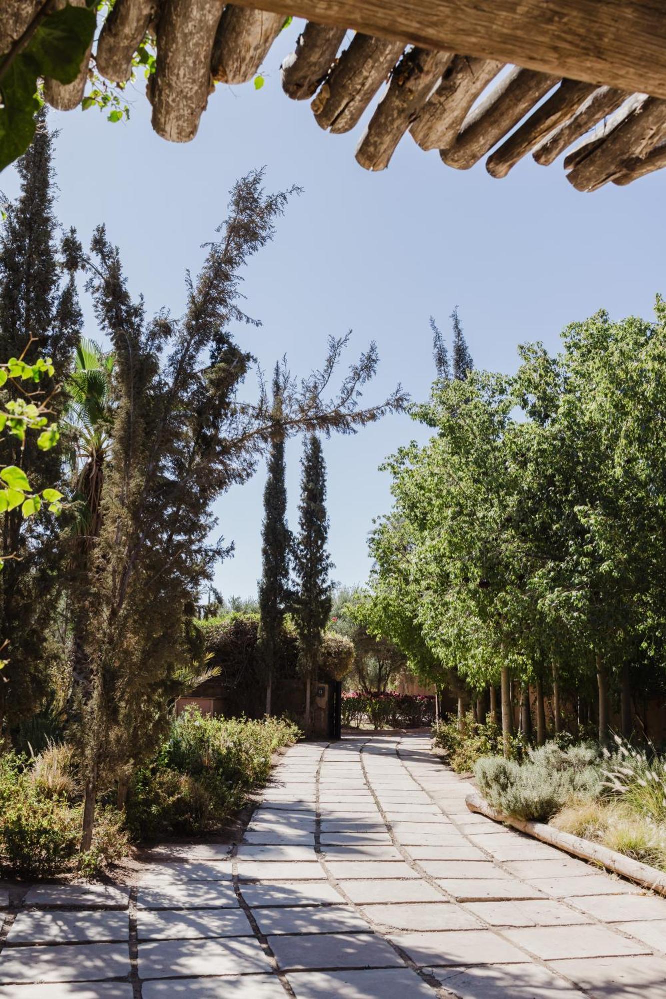 Villa De Luxe Sahara *