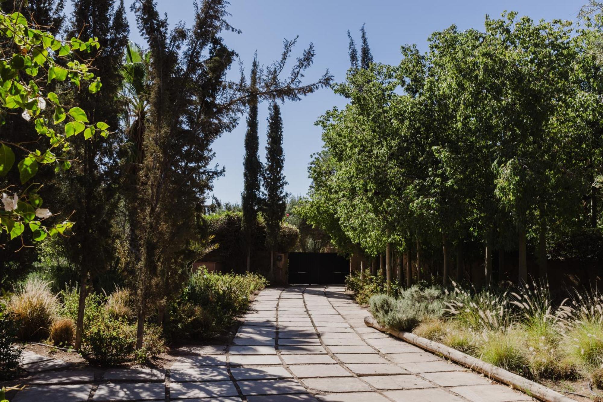 De Luxe Sahara Villa