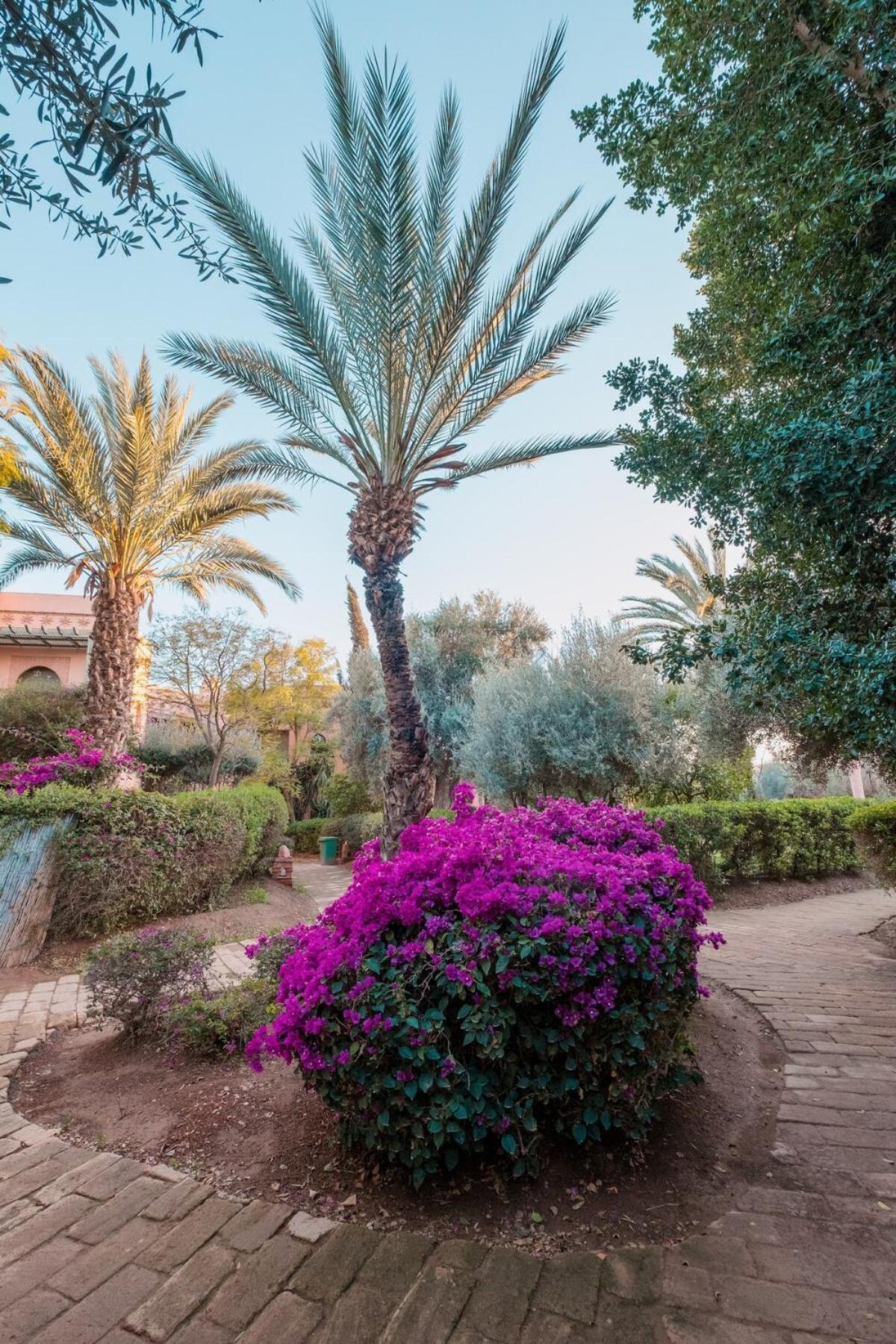Appartement Palmeraie With Pool Marrakech Near To The Center