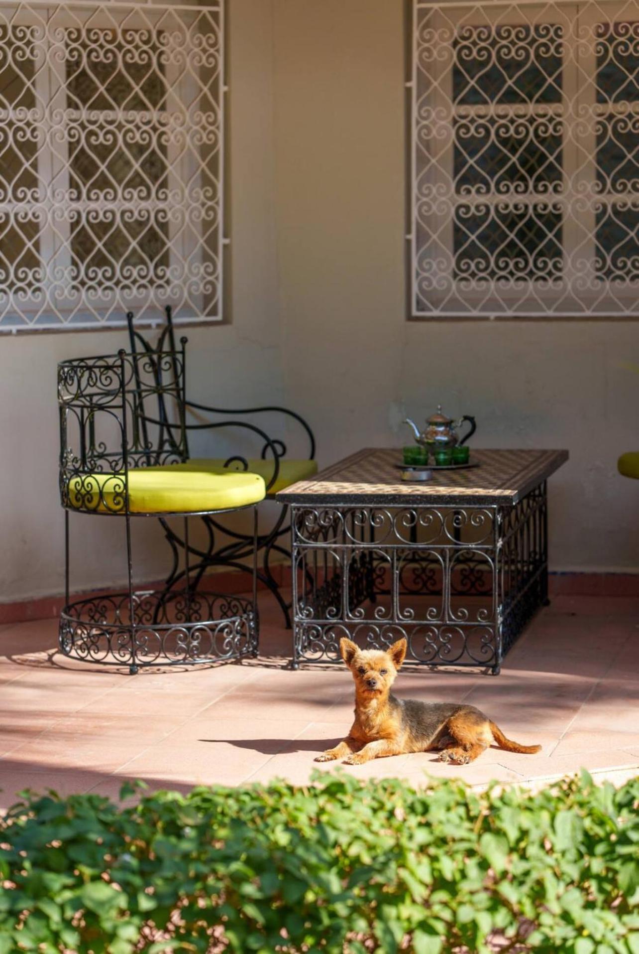 Séjour chez l'habitant Palais Rhize Targa *