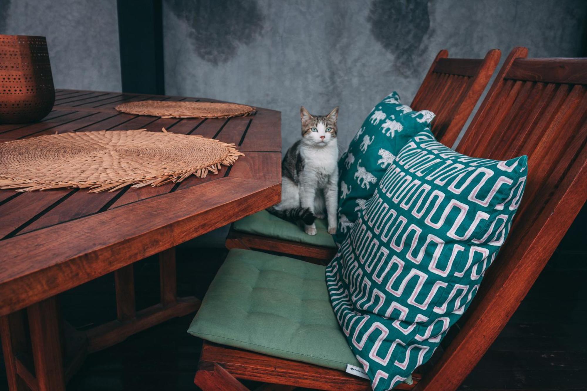 Hotel Yves Marrakech 4*