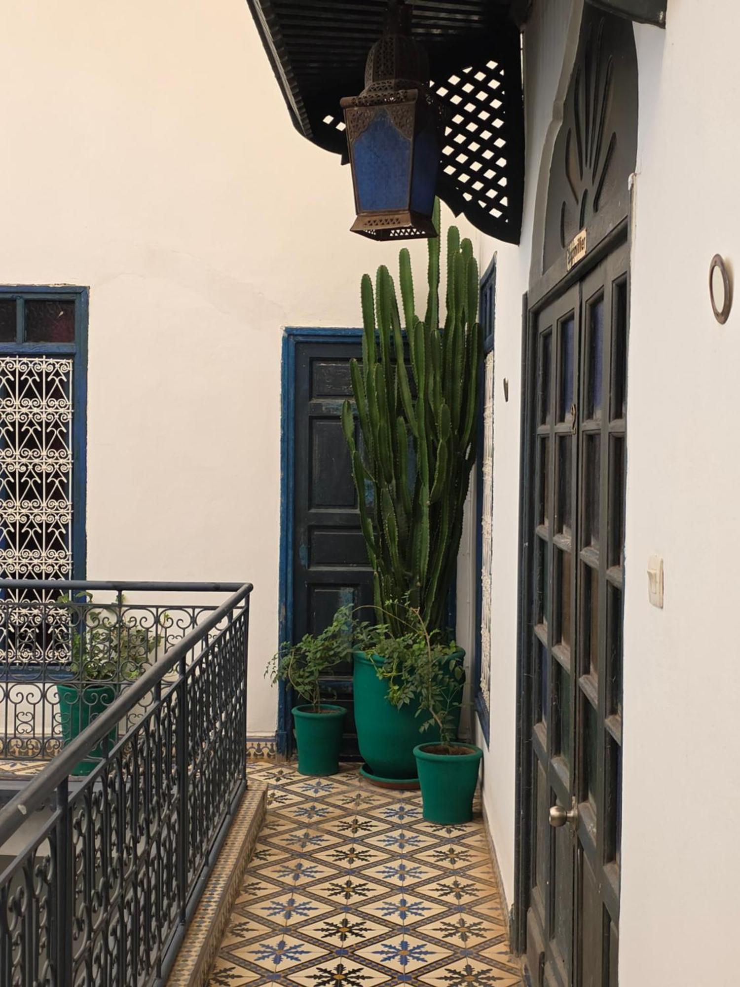 Aloes & (adults Only) 4*
