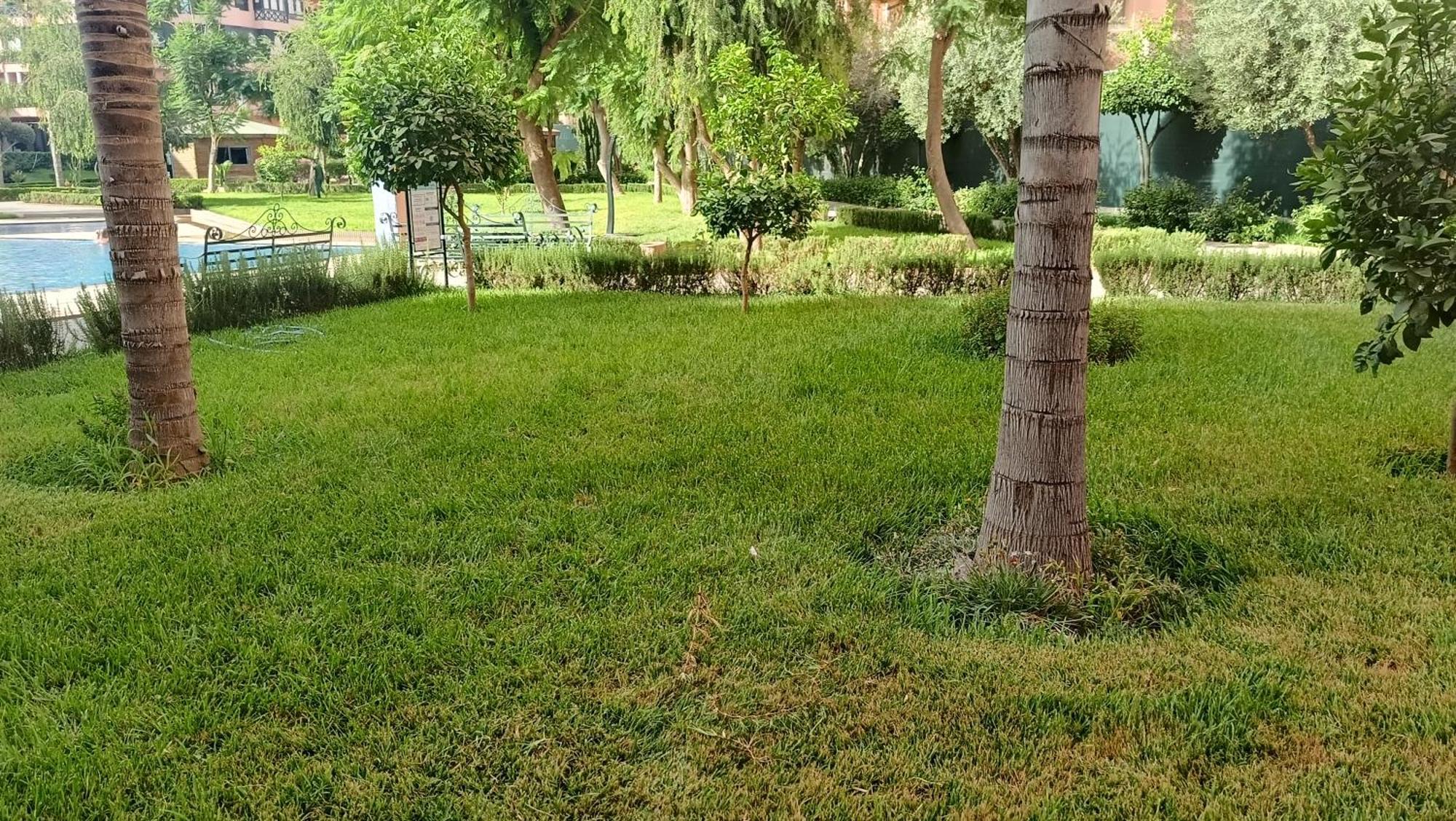 Marrakech Premium Village C186 Apartment *