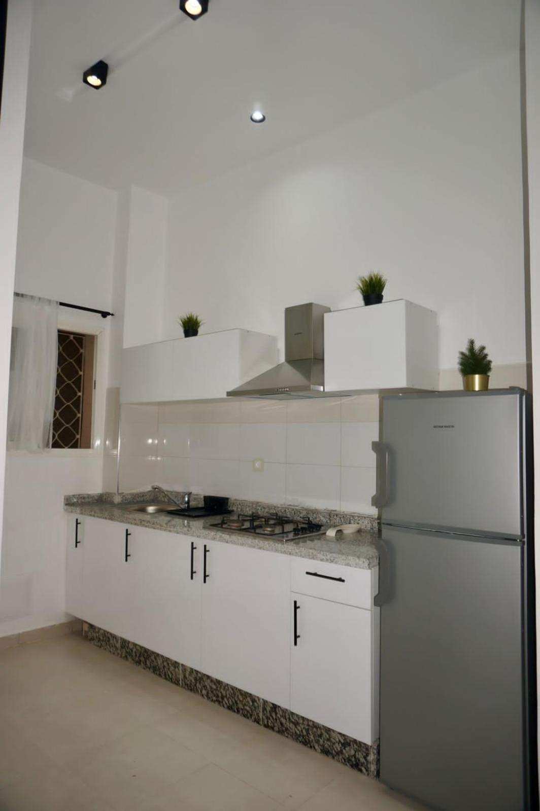 Appartement Moderne Renove