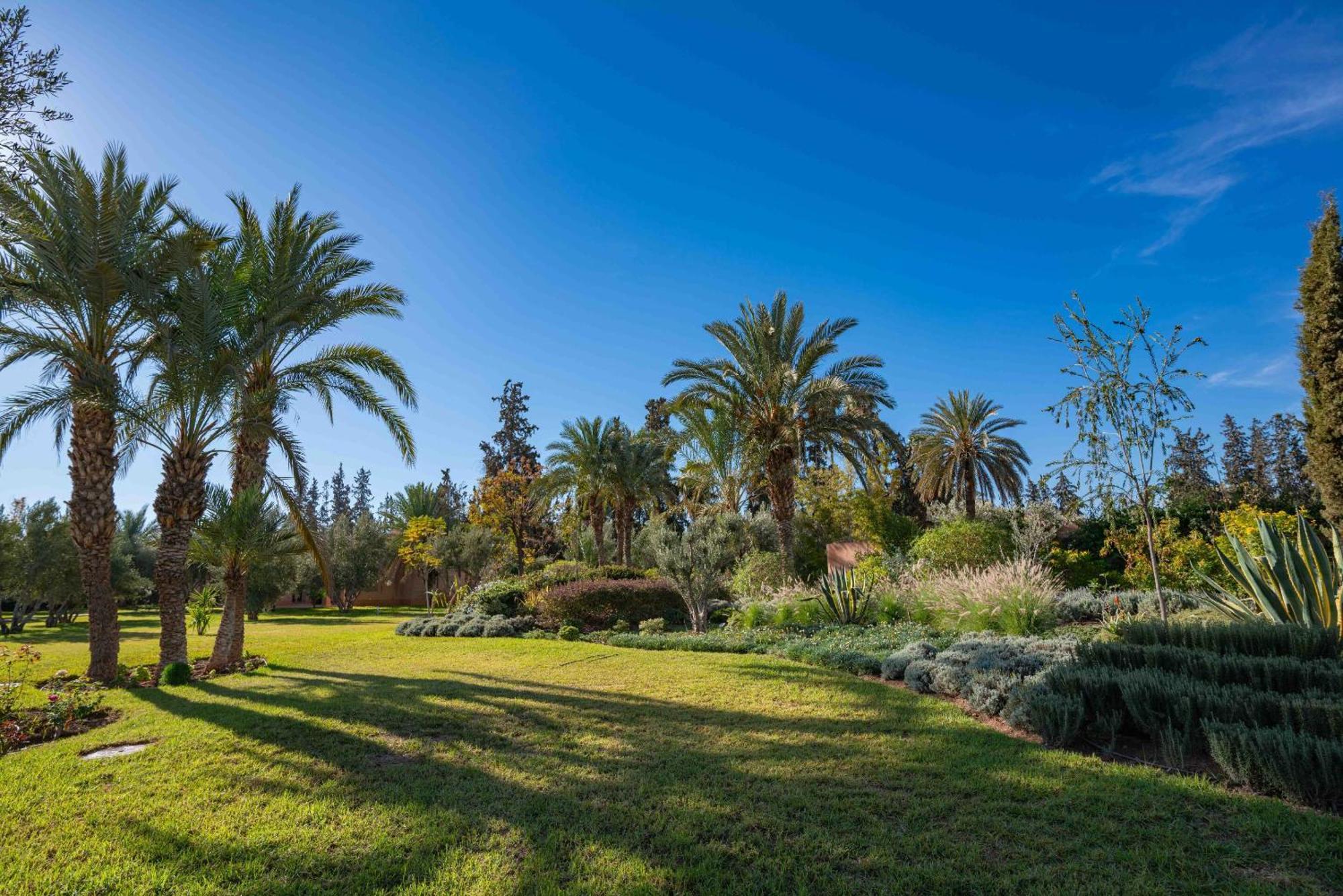 Bella - Marrakech Marrakesh