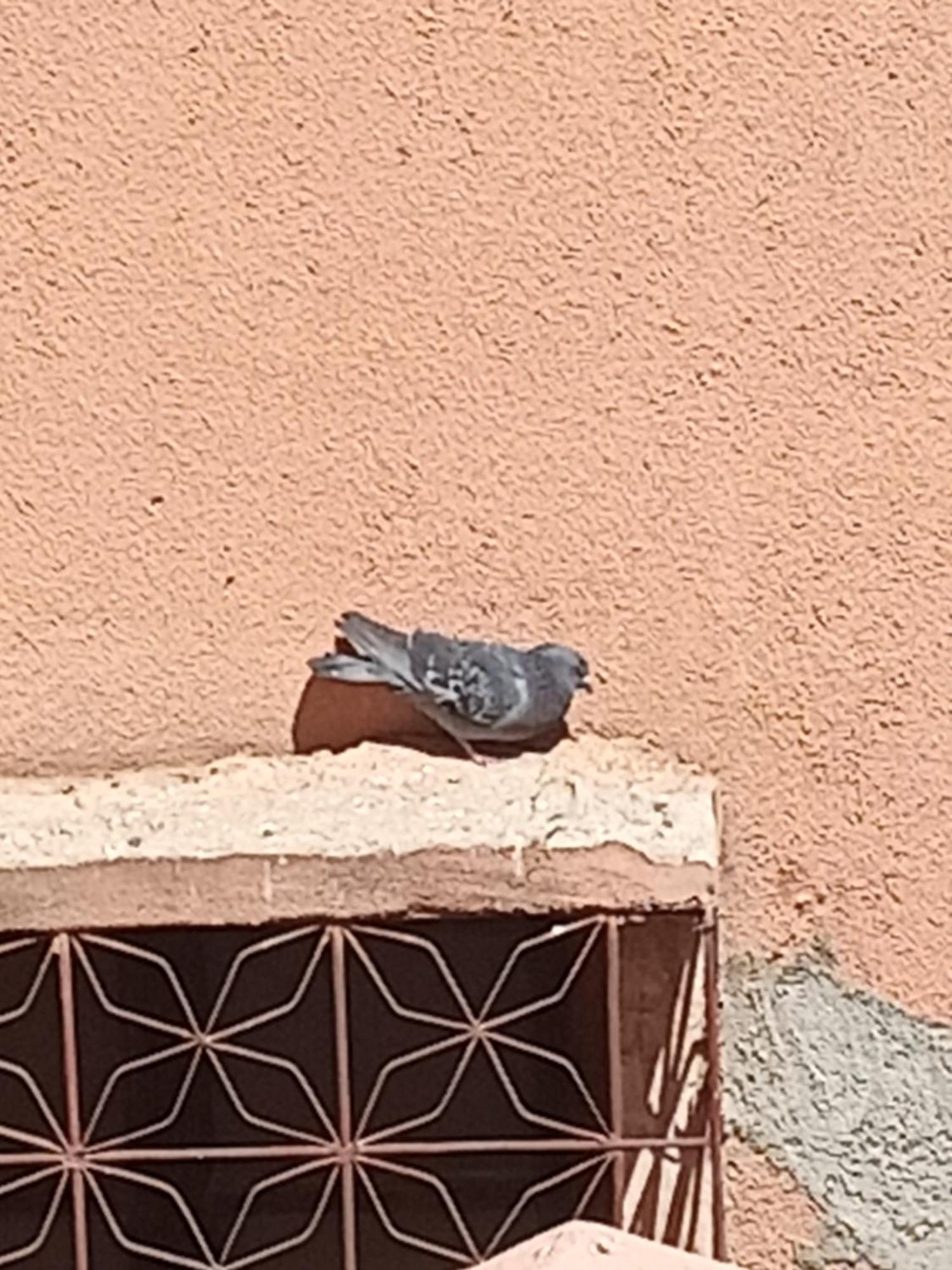 Guiliz Marrakesch