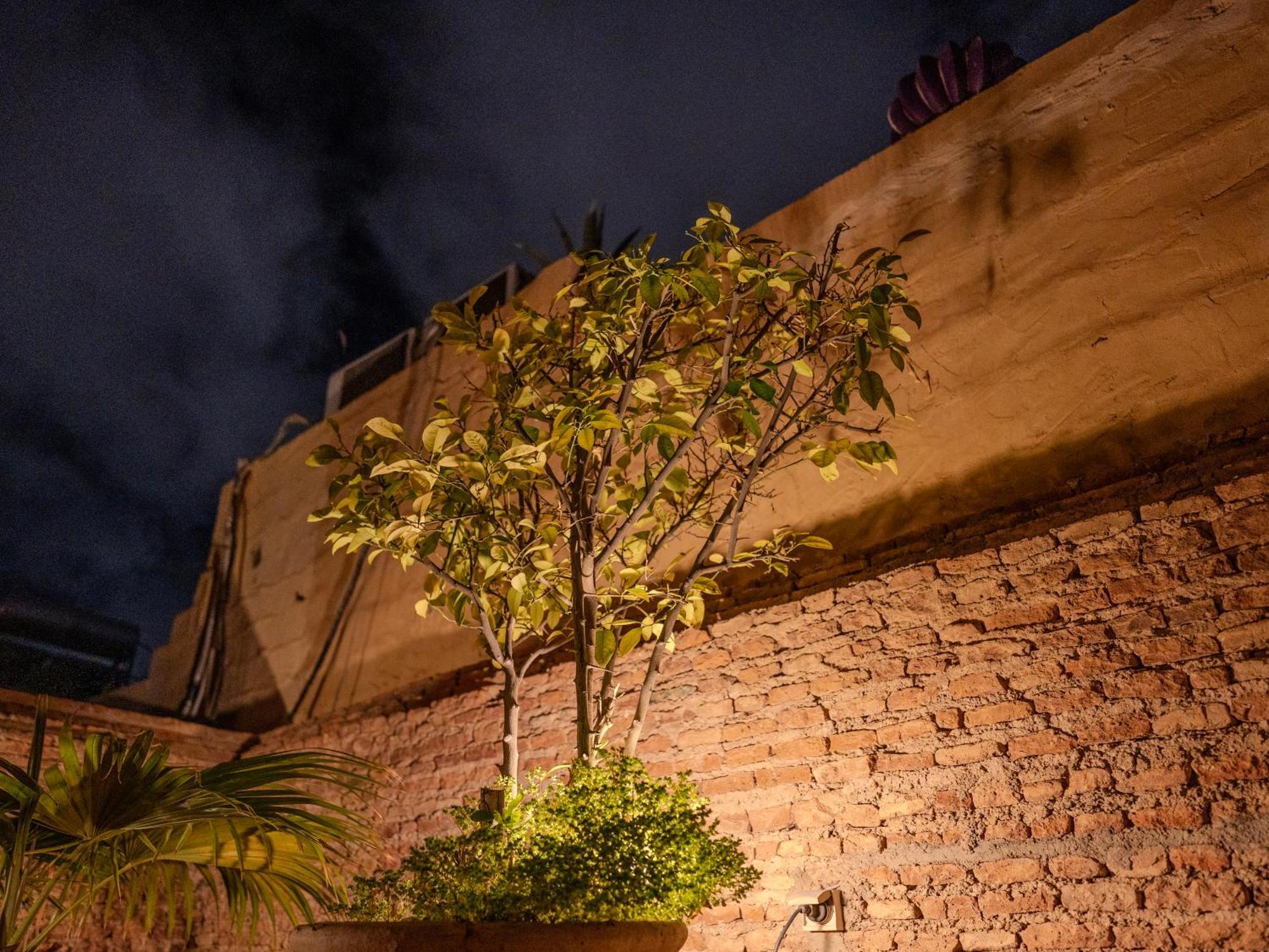 Riad Mayan &