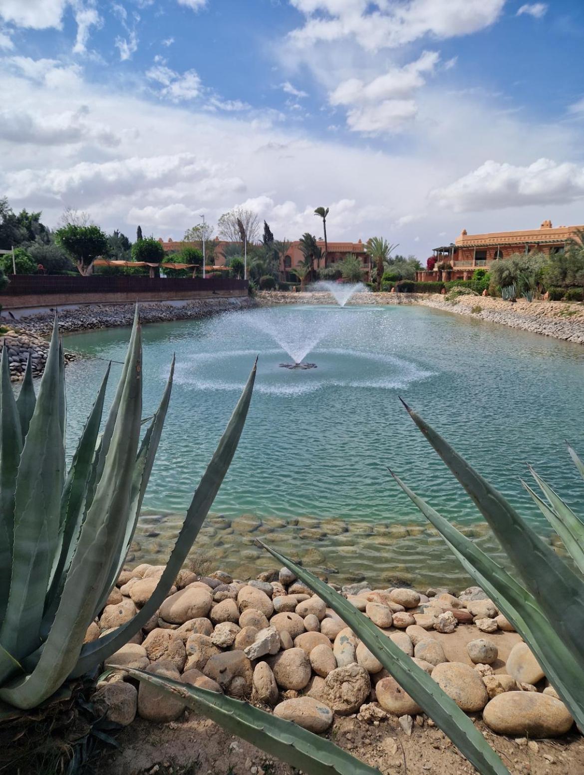Appartement Les Jardins De La Palmeraie Premium Luxury