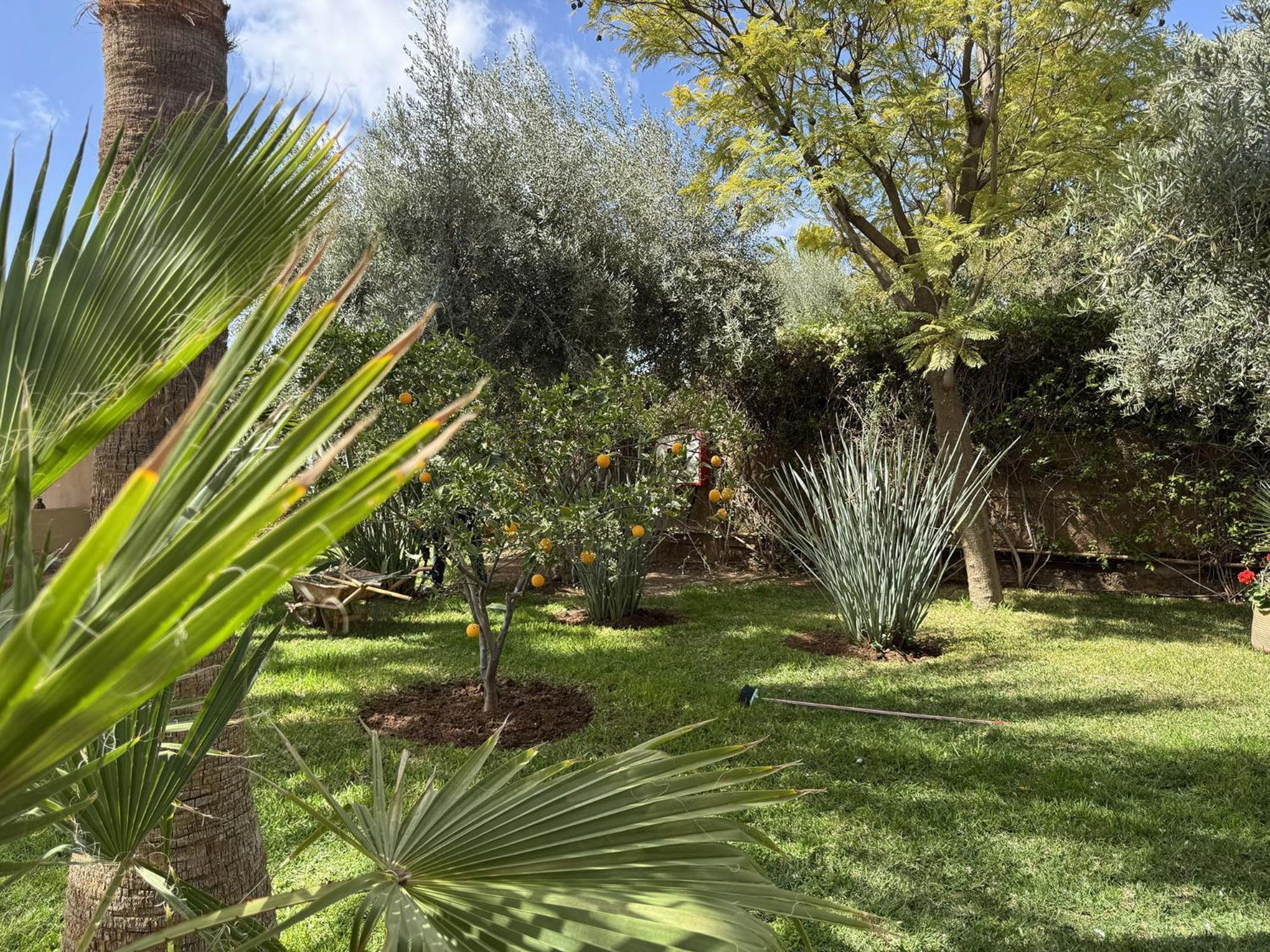 Villa Jiline Marrakesh