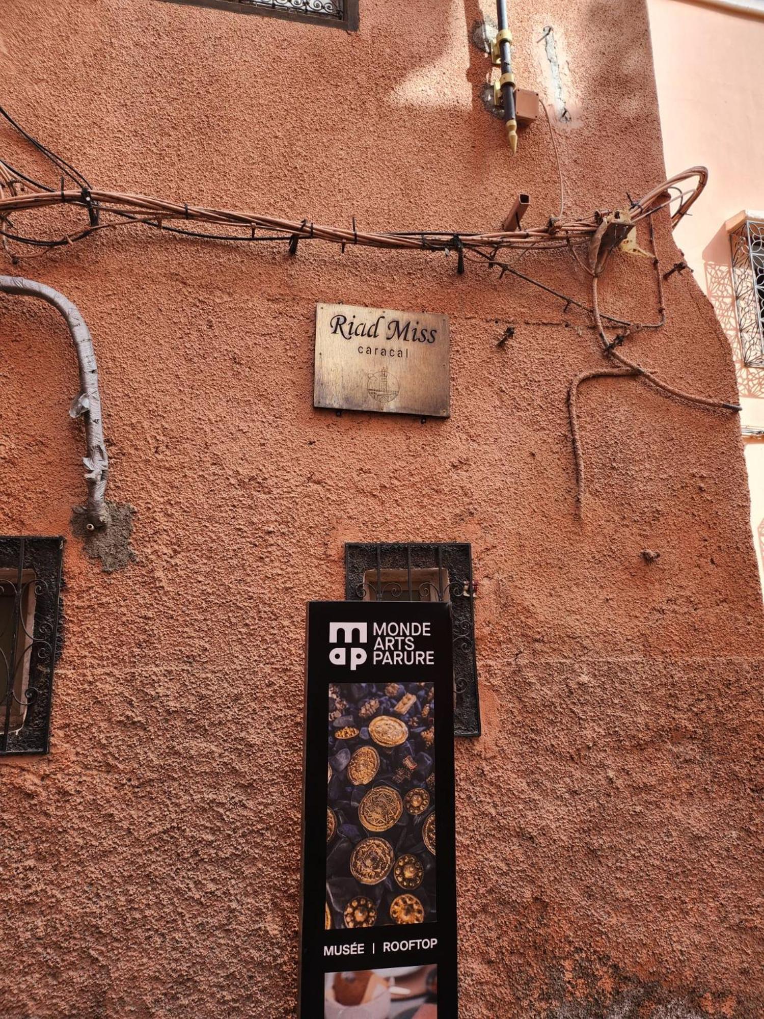 Miss Caracal Riad Marrakesh