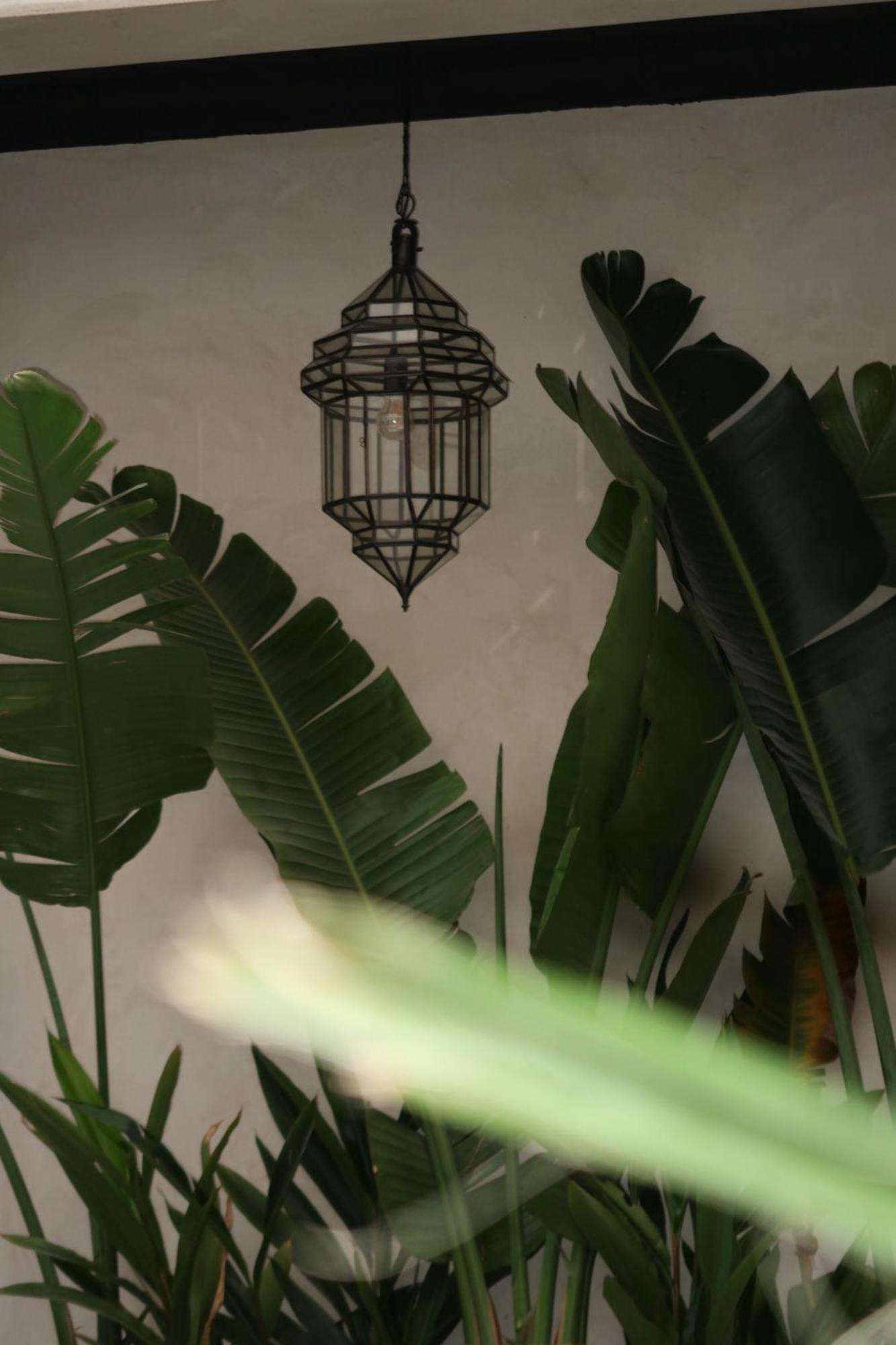 Excellence Riad Marrakesh