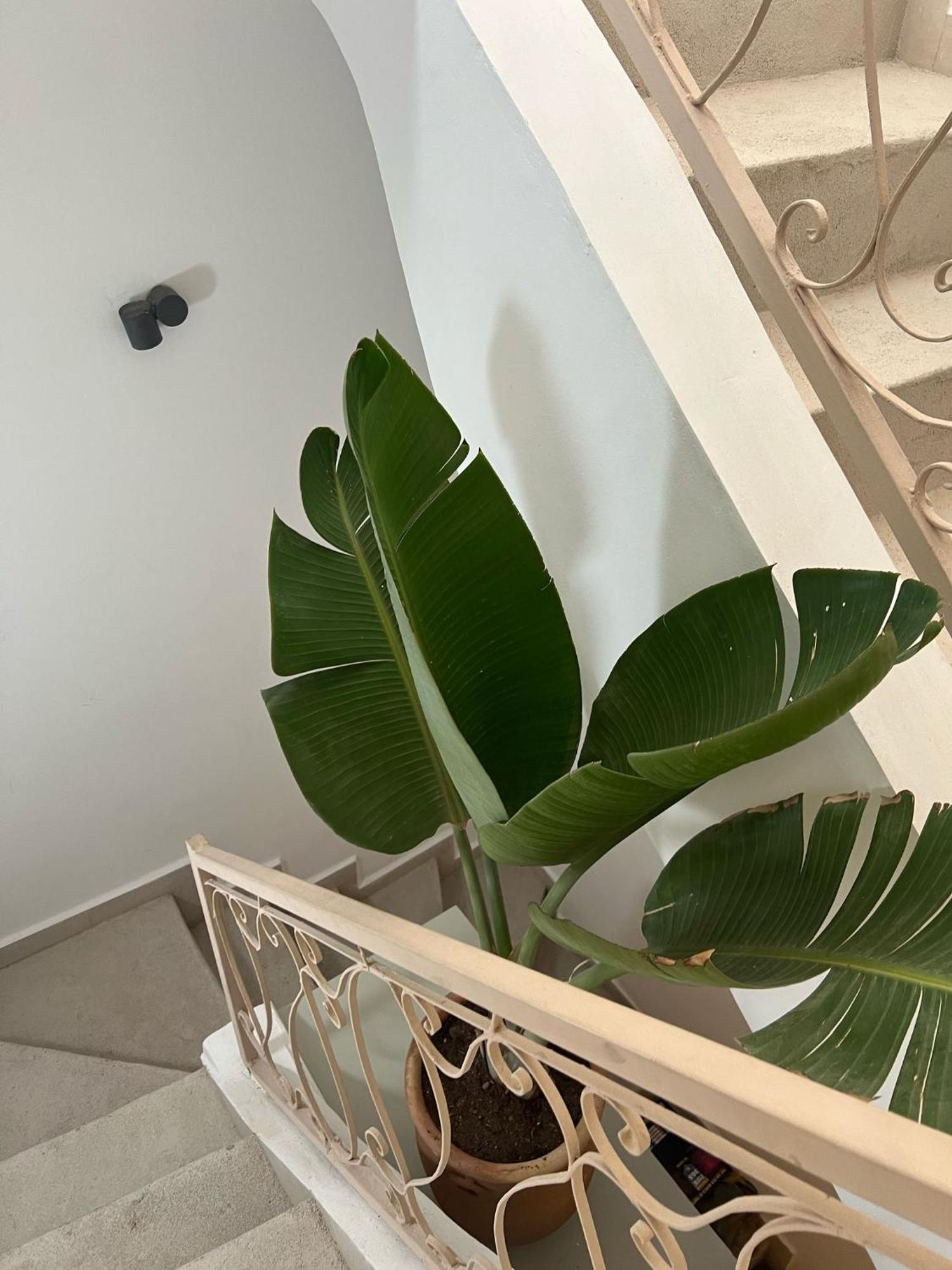Appartement Maison 3 Avec Bassin Chauffee Centre Gueliz