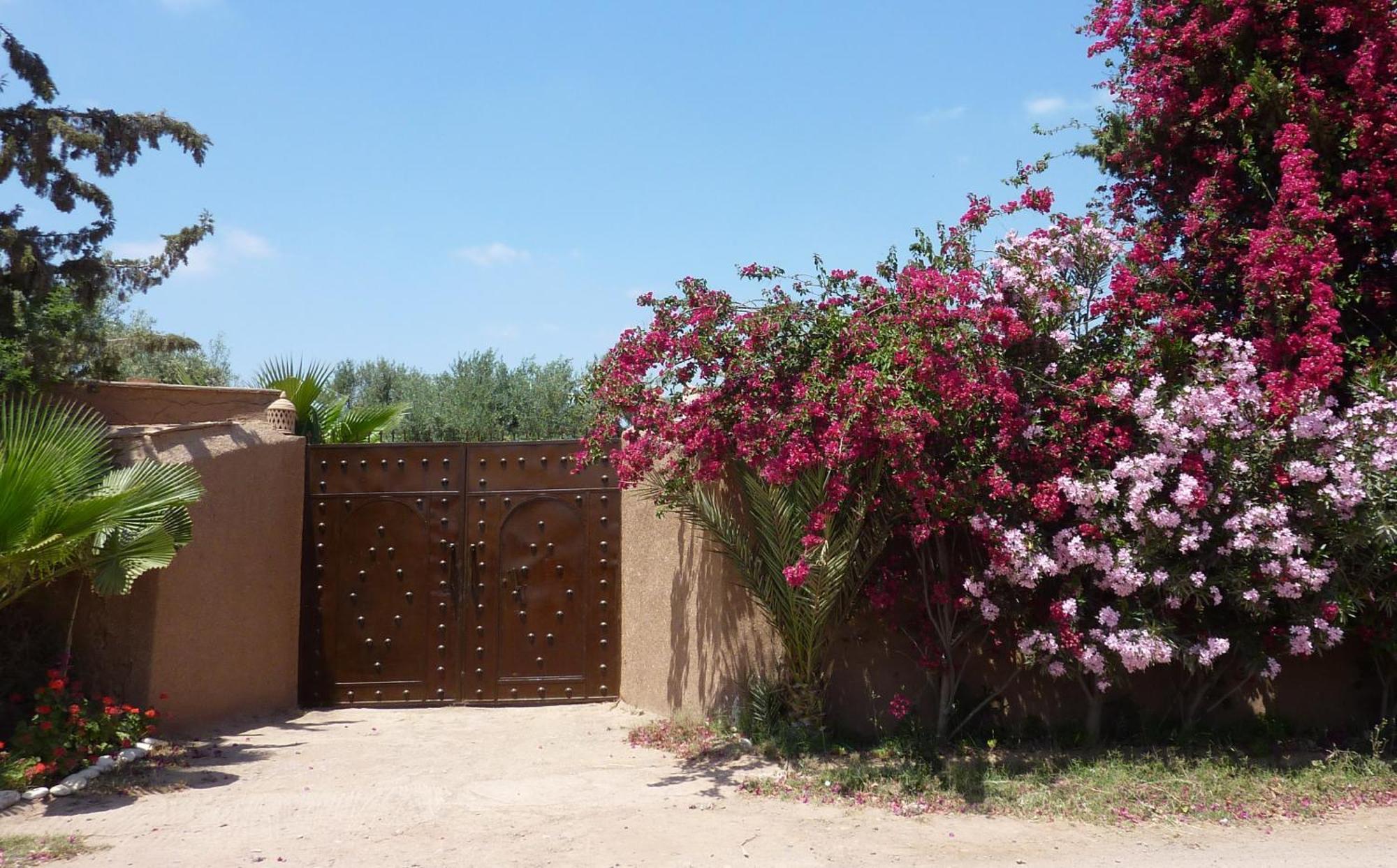 Exceptionnelle Avec Cuisiniere-piscine Chauffee-navette Airport Gratuite-fibre Internet Villa Marrakesh