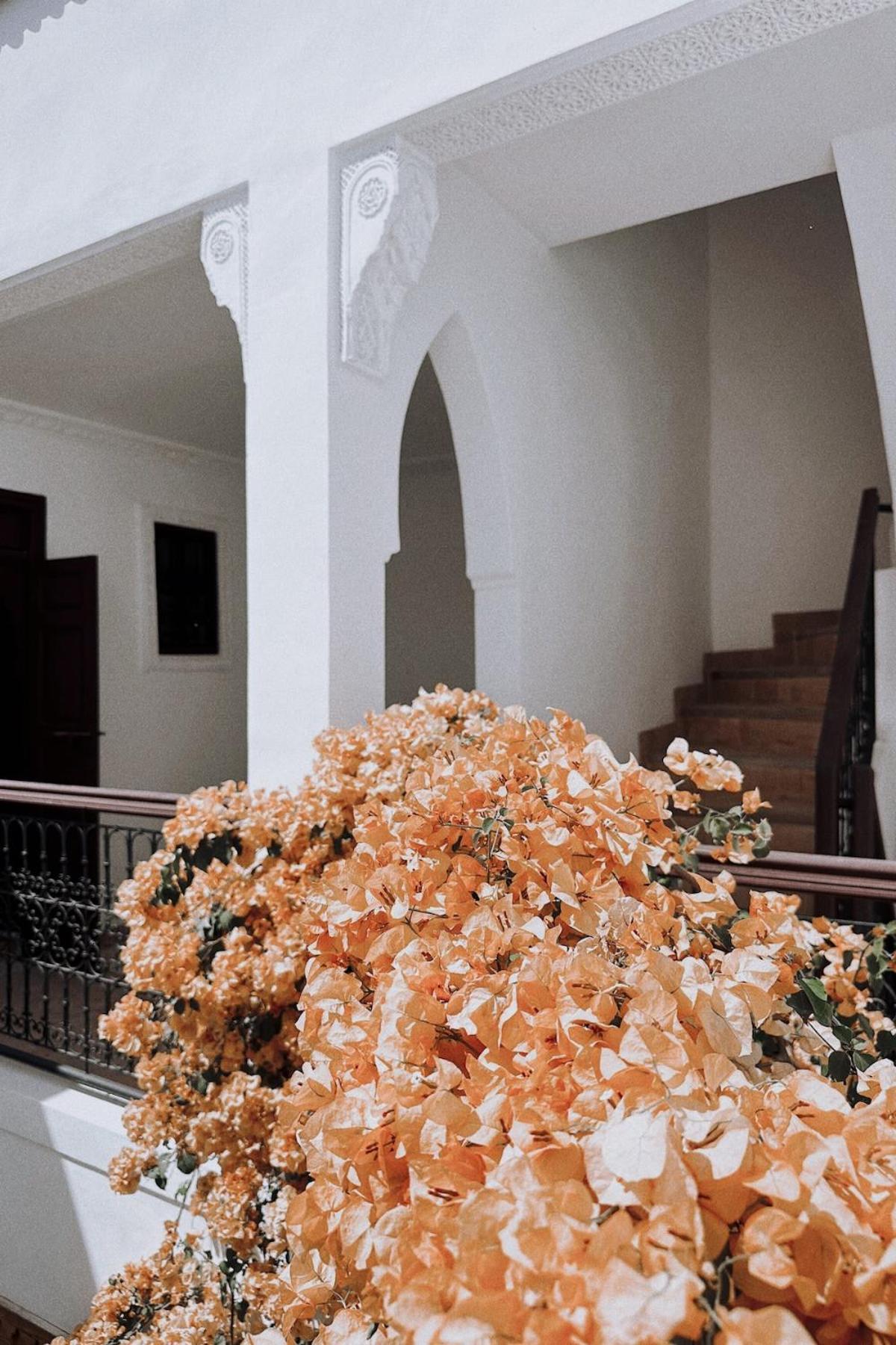 Riad Solila, Luxury Riad With Pool And Private Suites * Marrakesh