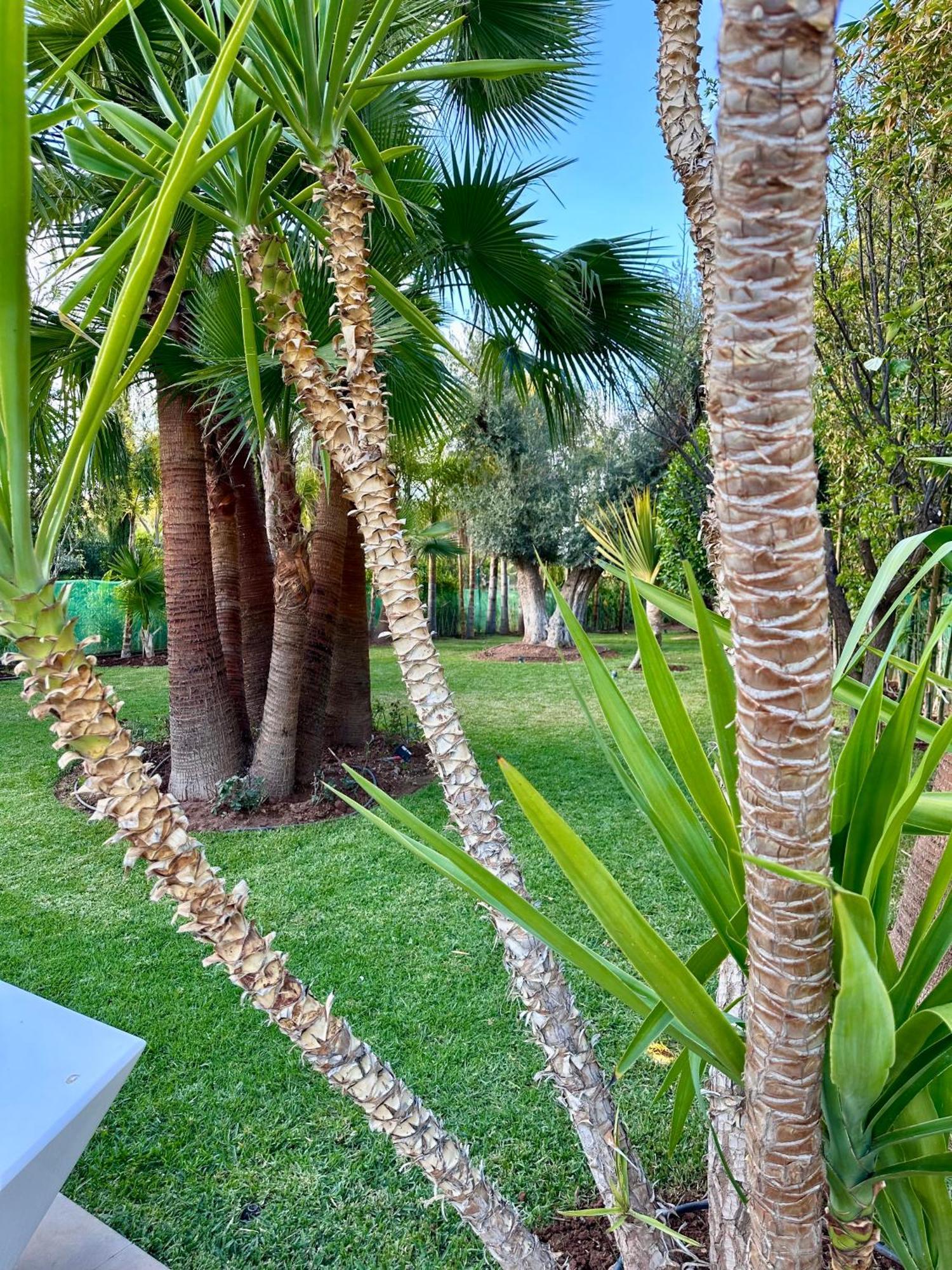 Argan Golf Piscine Chauffee