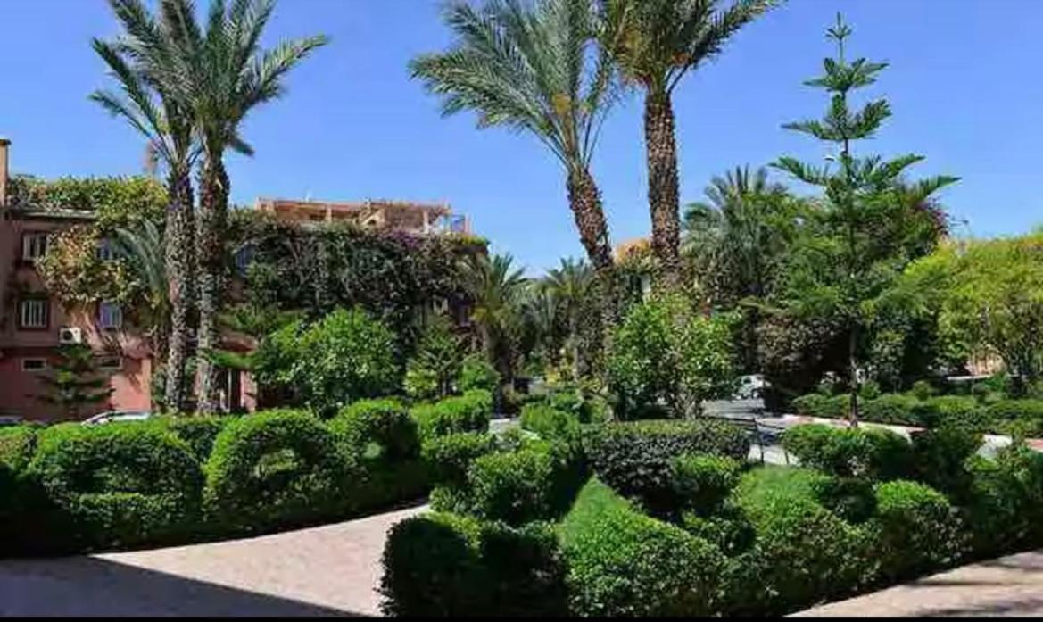 Abdo Riad