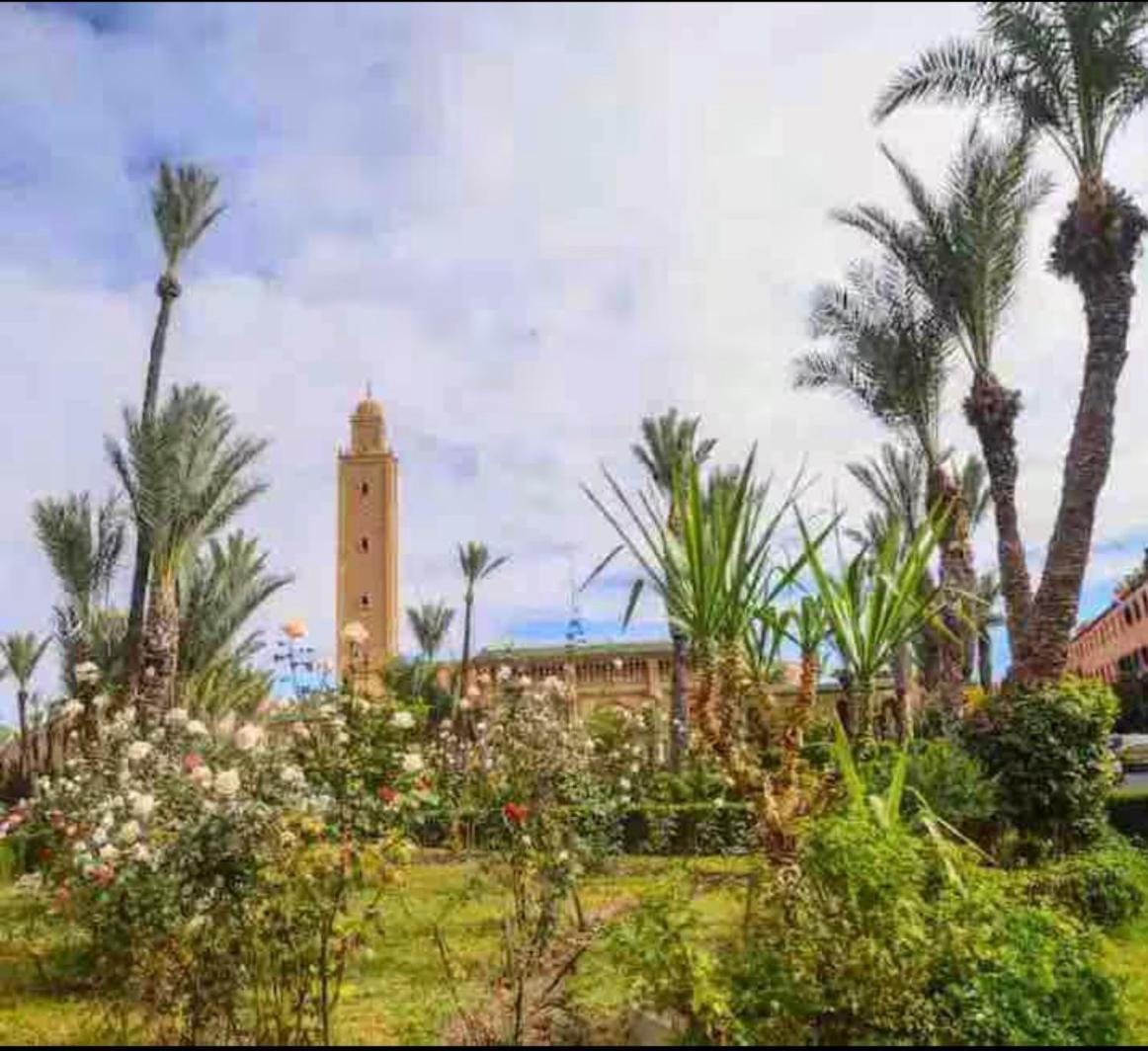 Abdo Riad