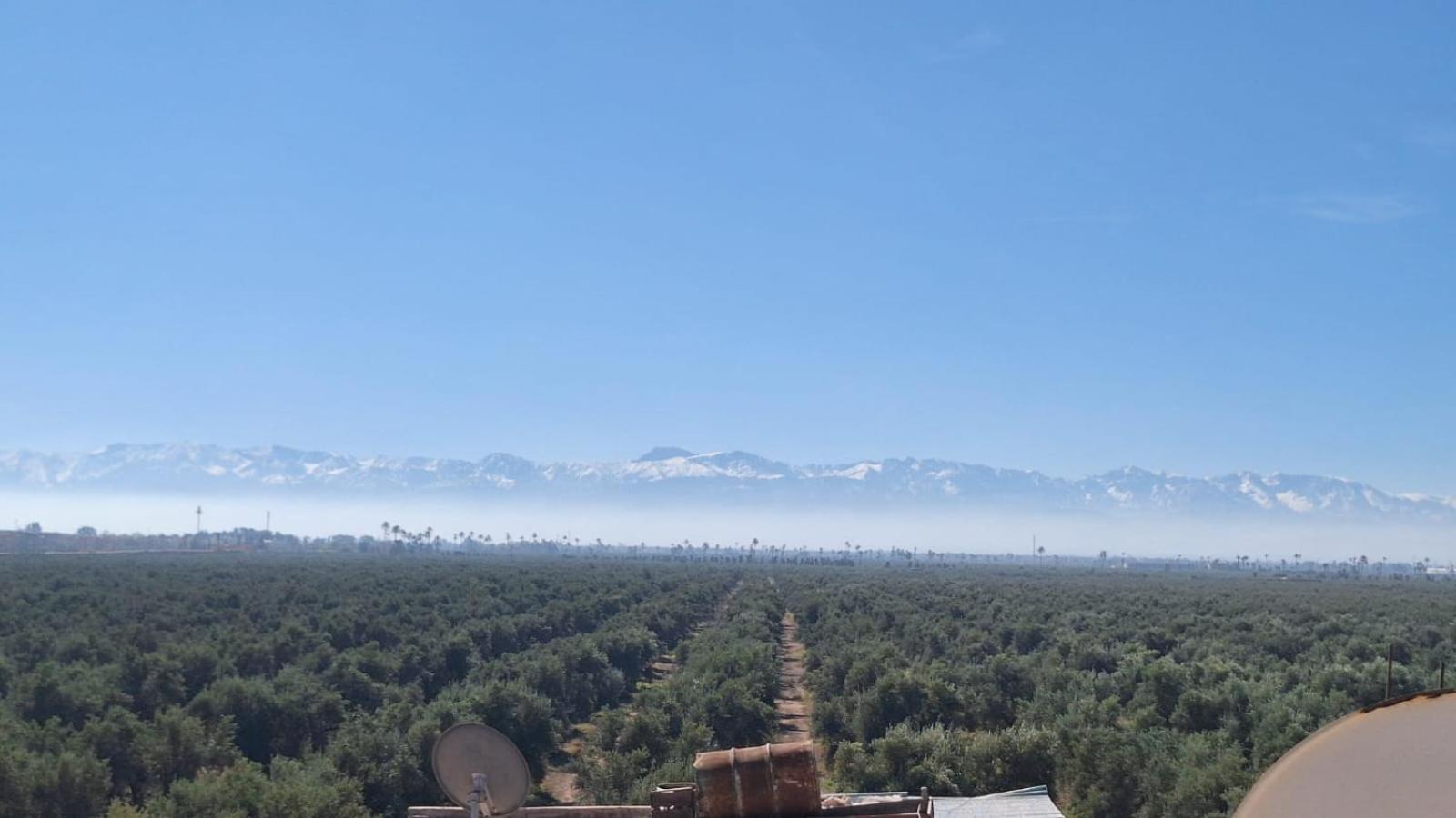 Med Agora Bed & Breakfast Marrakesh