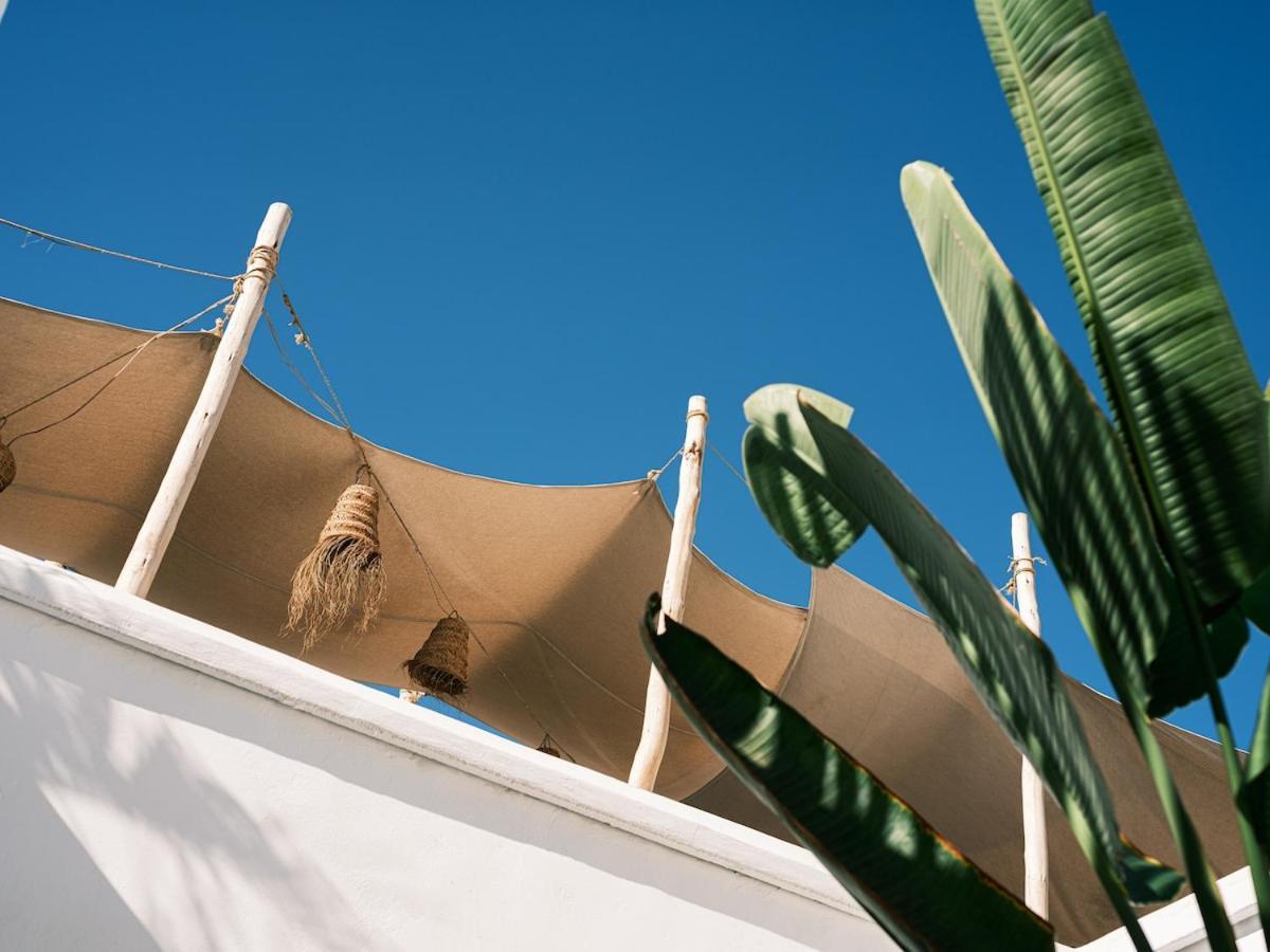 Villa Private Maison Habibi *
