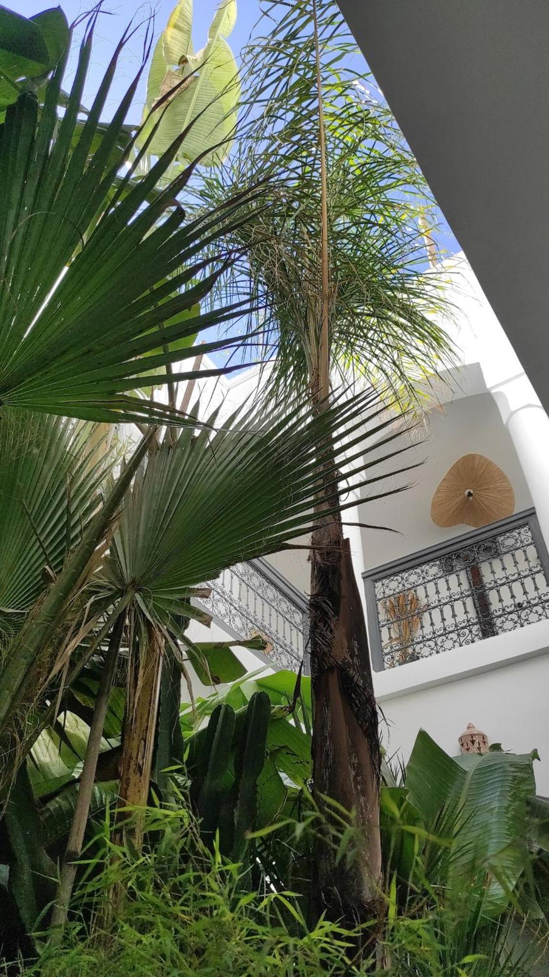Private Maison Habibi * Marrakesh