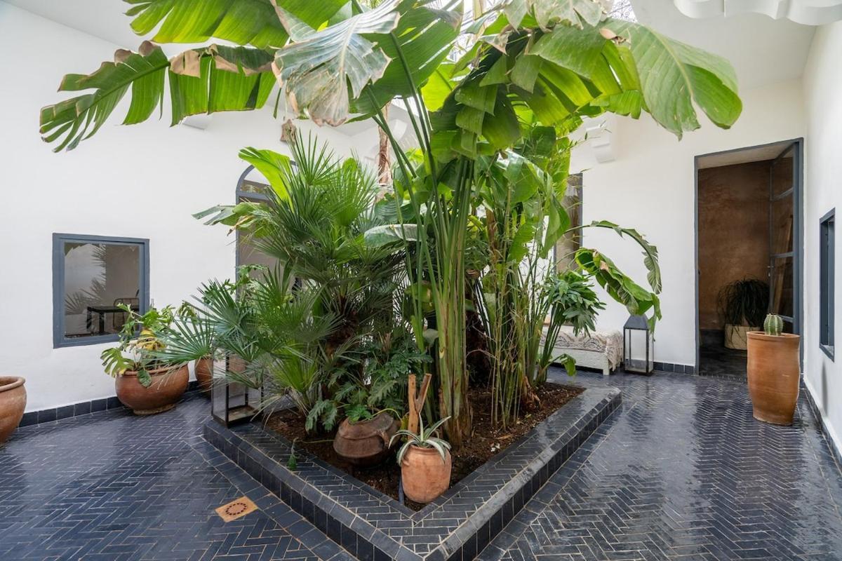 Private Maison Habibi Villa